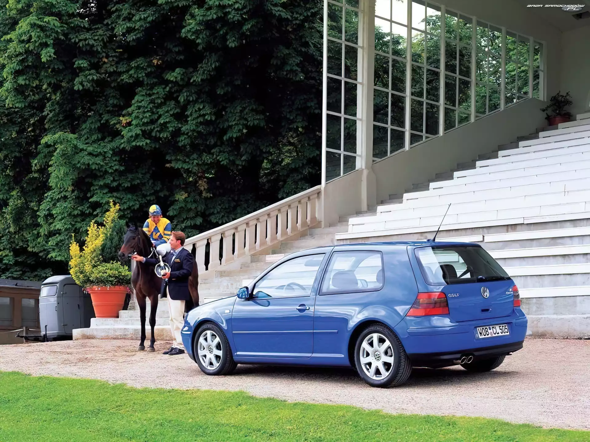 Koń, Golf 4, Niebieski
