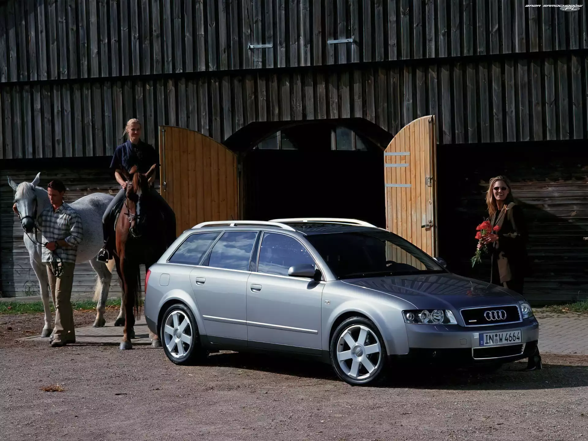 Konie, Audi A4, Avant