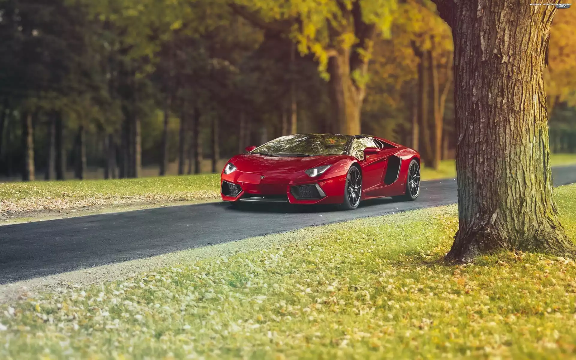 Lamborghini, Droga, Czerwone, Aventador