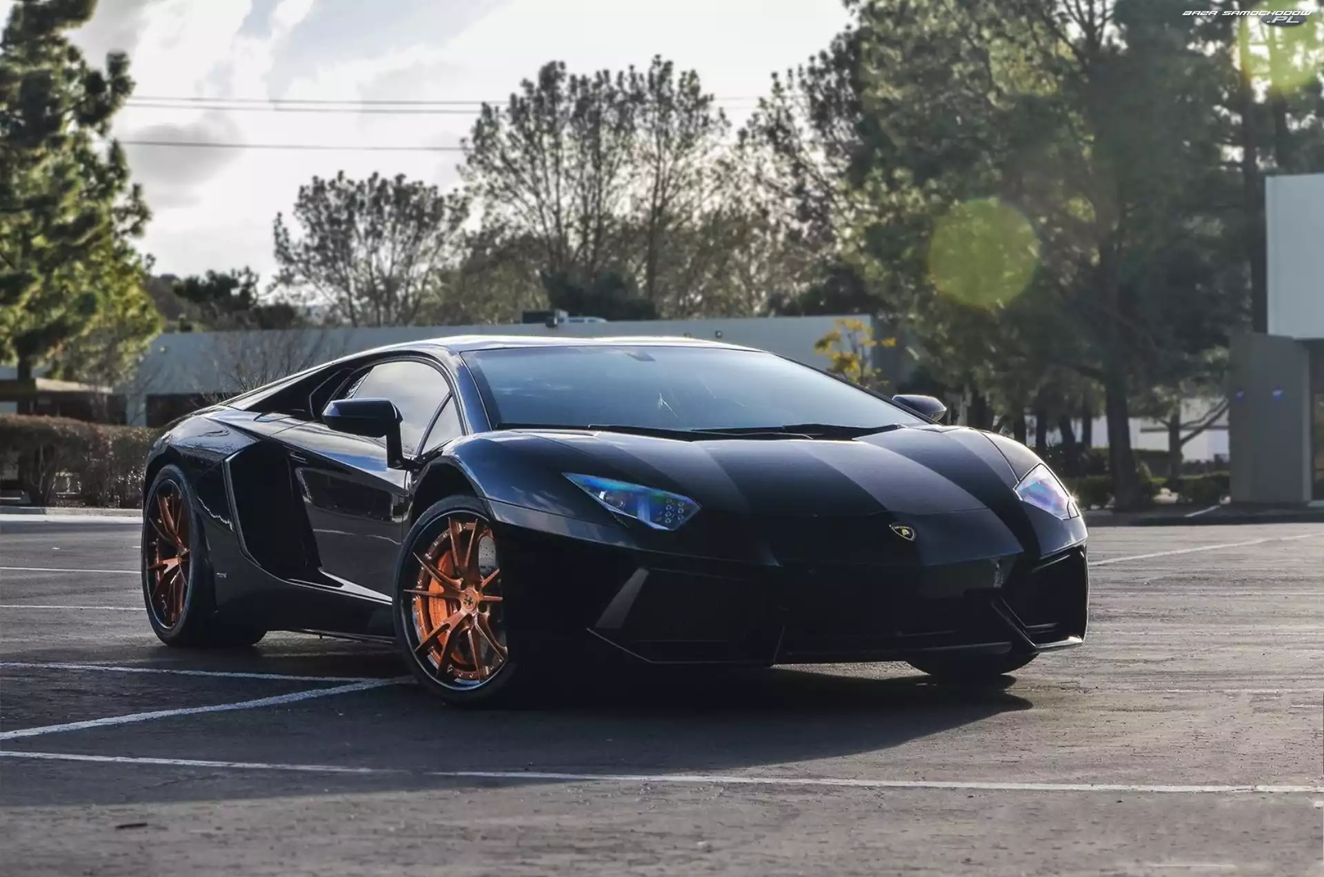 Drzewa, Lamborghini, Aventador