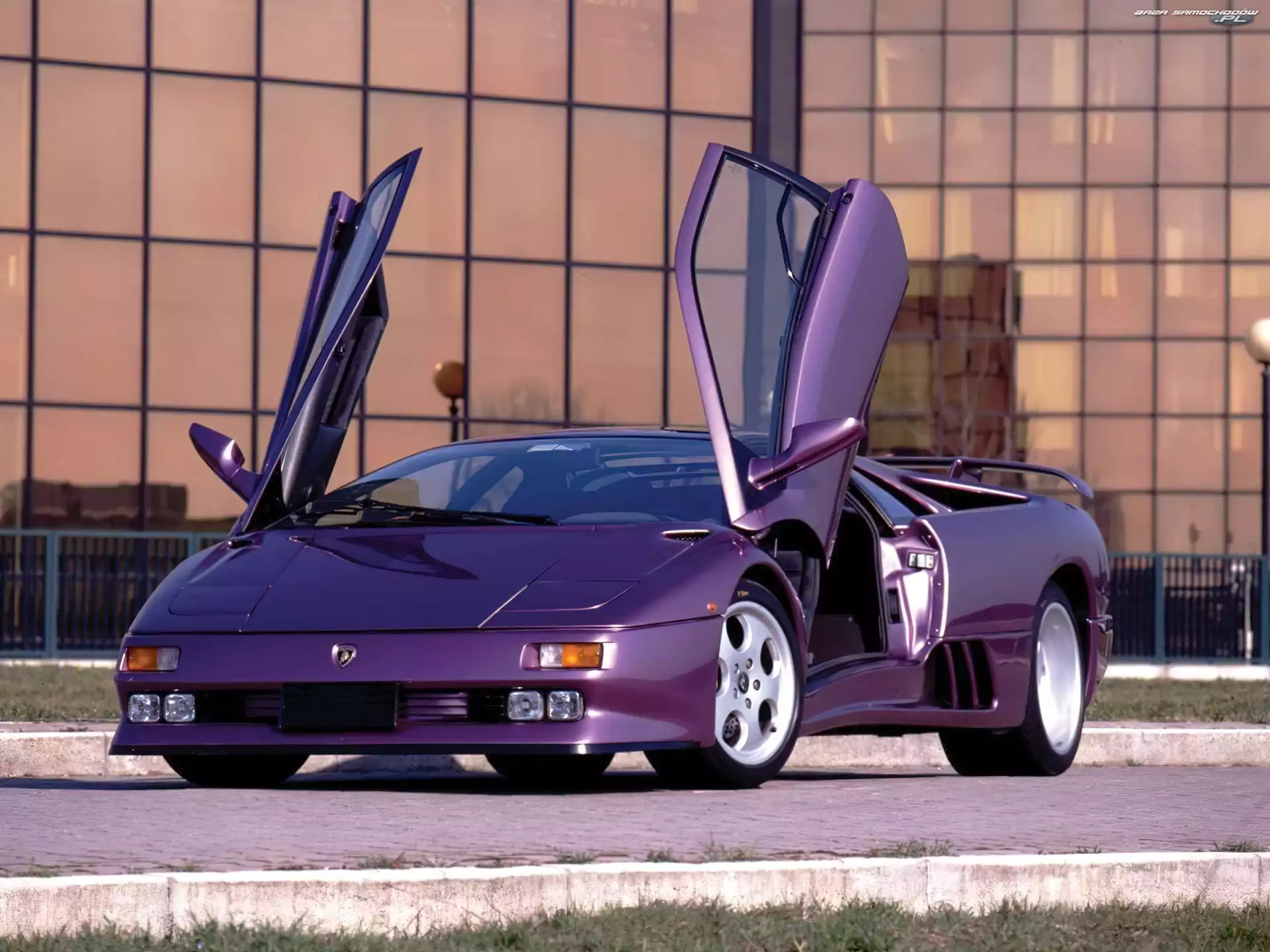 Lamborghini Diablo, Fioletowe