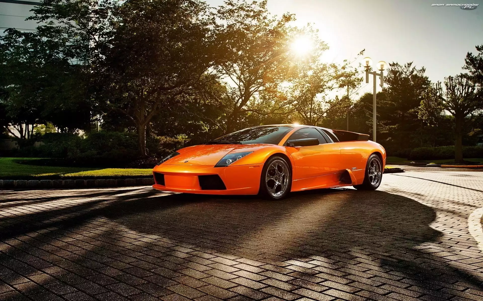 Lamborghini, Drzewa, Pomarańczowe, Ulica