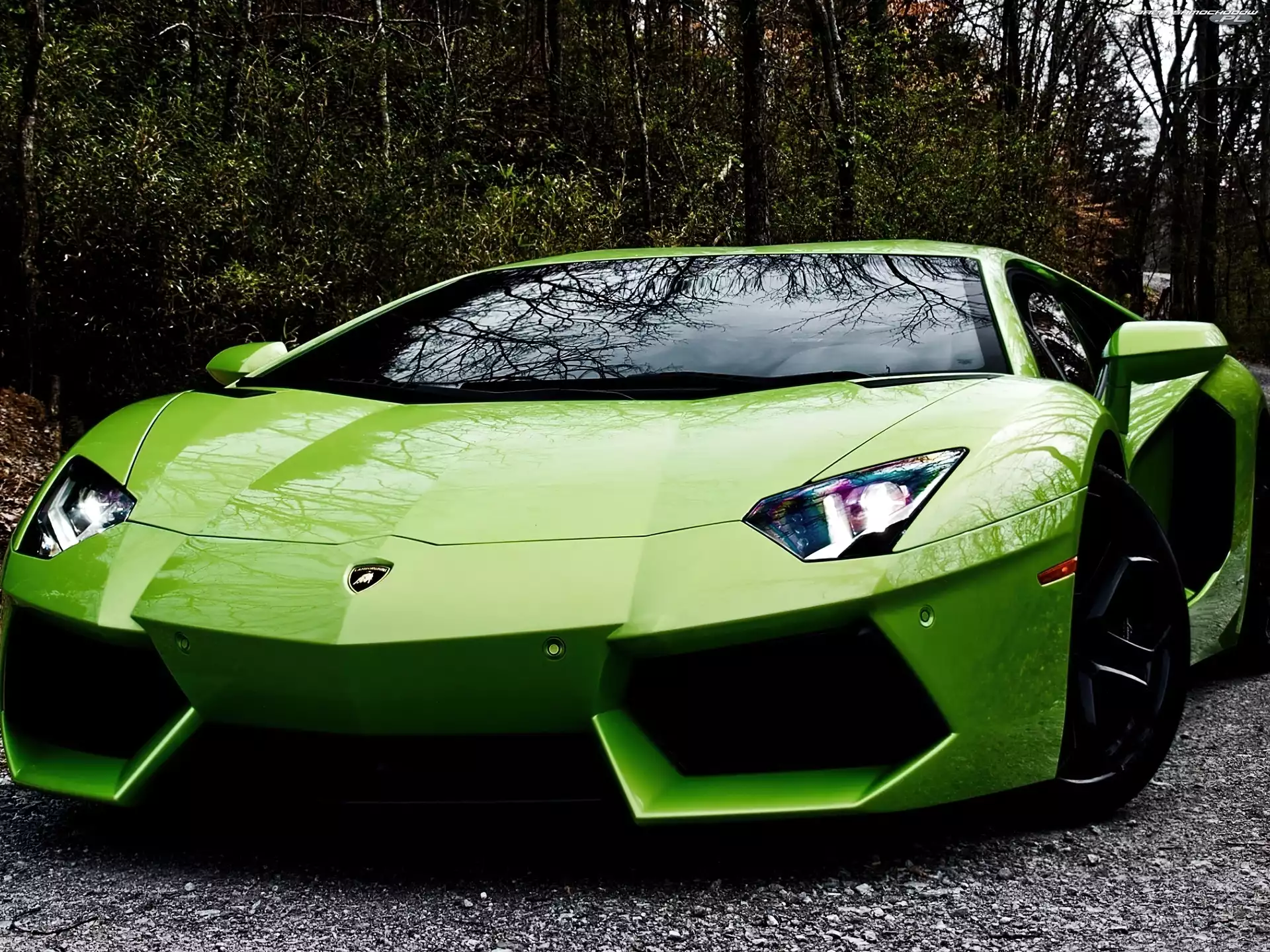 Lamborghini Aventador, Zielony