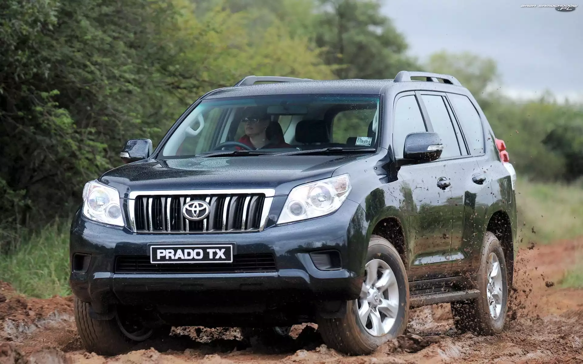 Land Cruiser, Droga, Toyota, Prado TX