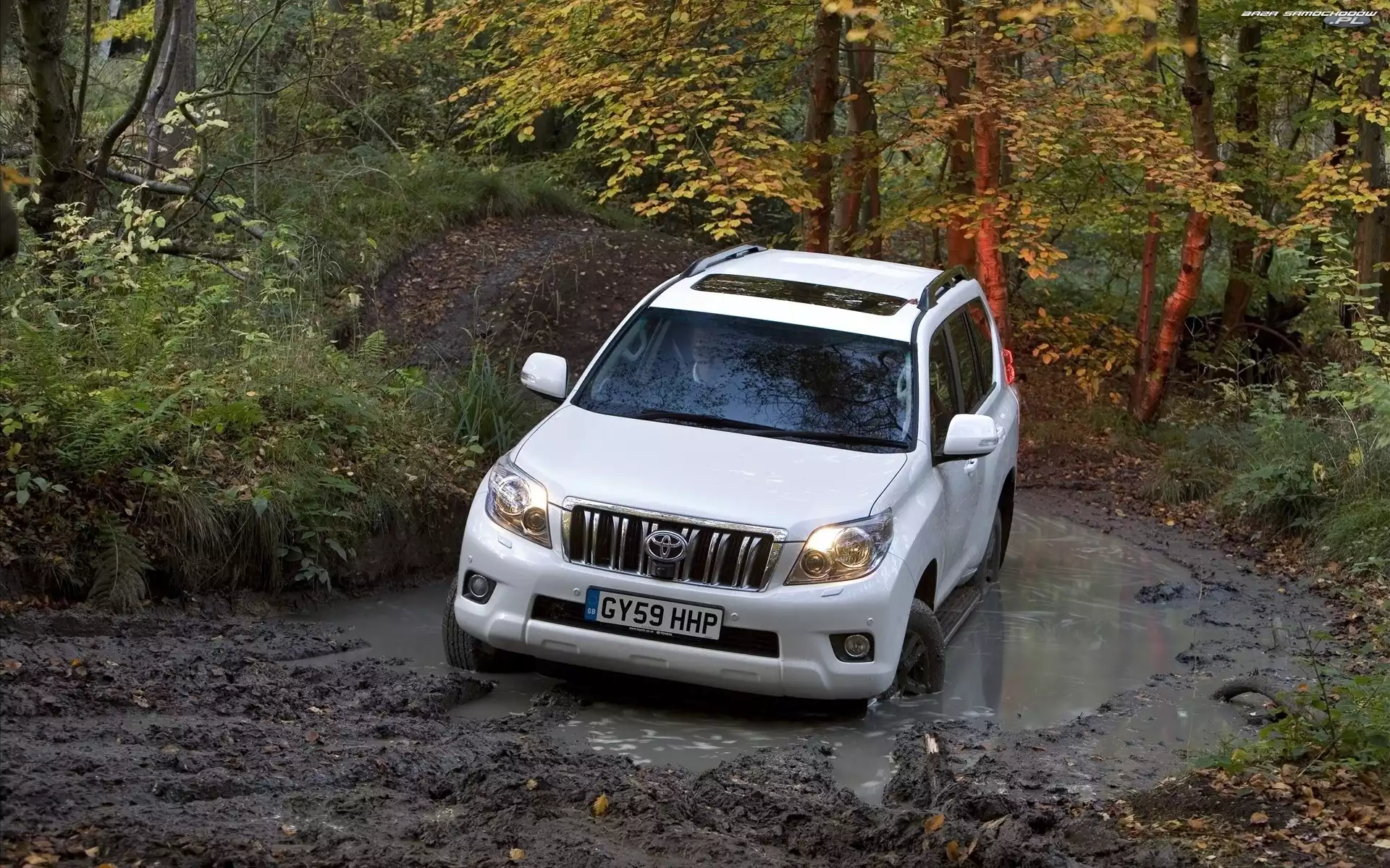 Land Cruiser, Toyota, Samochód