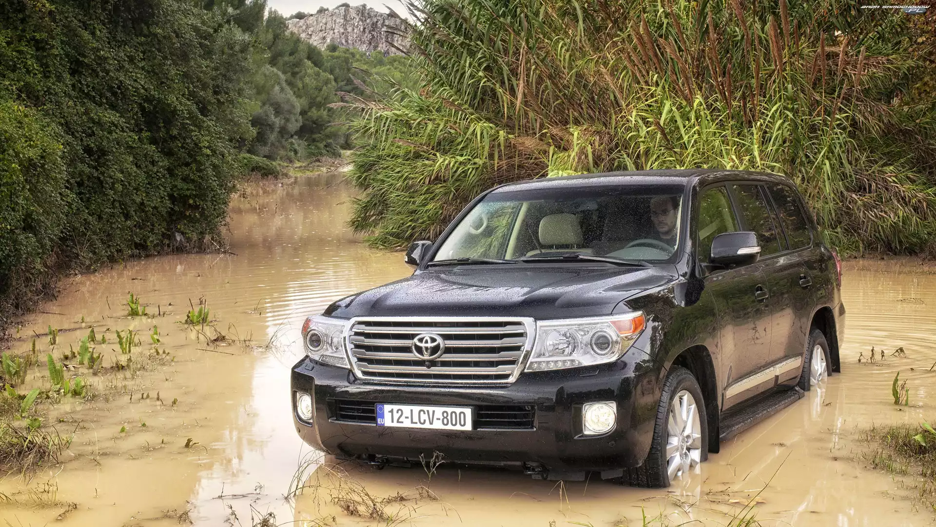 Land Cruiser, Drzewa, Toyota, Rzeczka