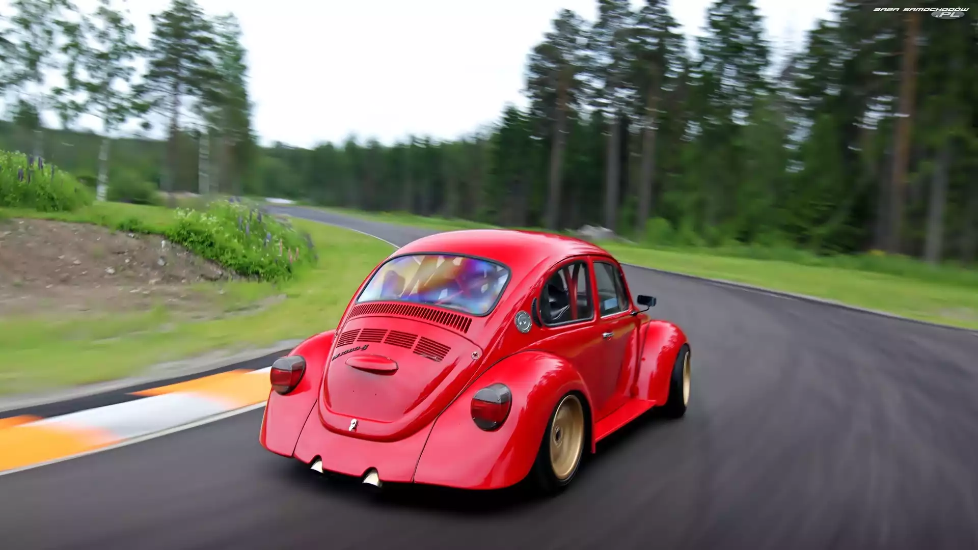 Las, Droga, Volkswagen, Czerwony, Garbus