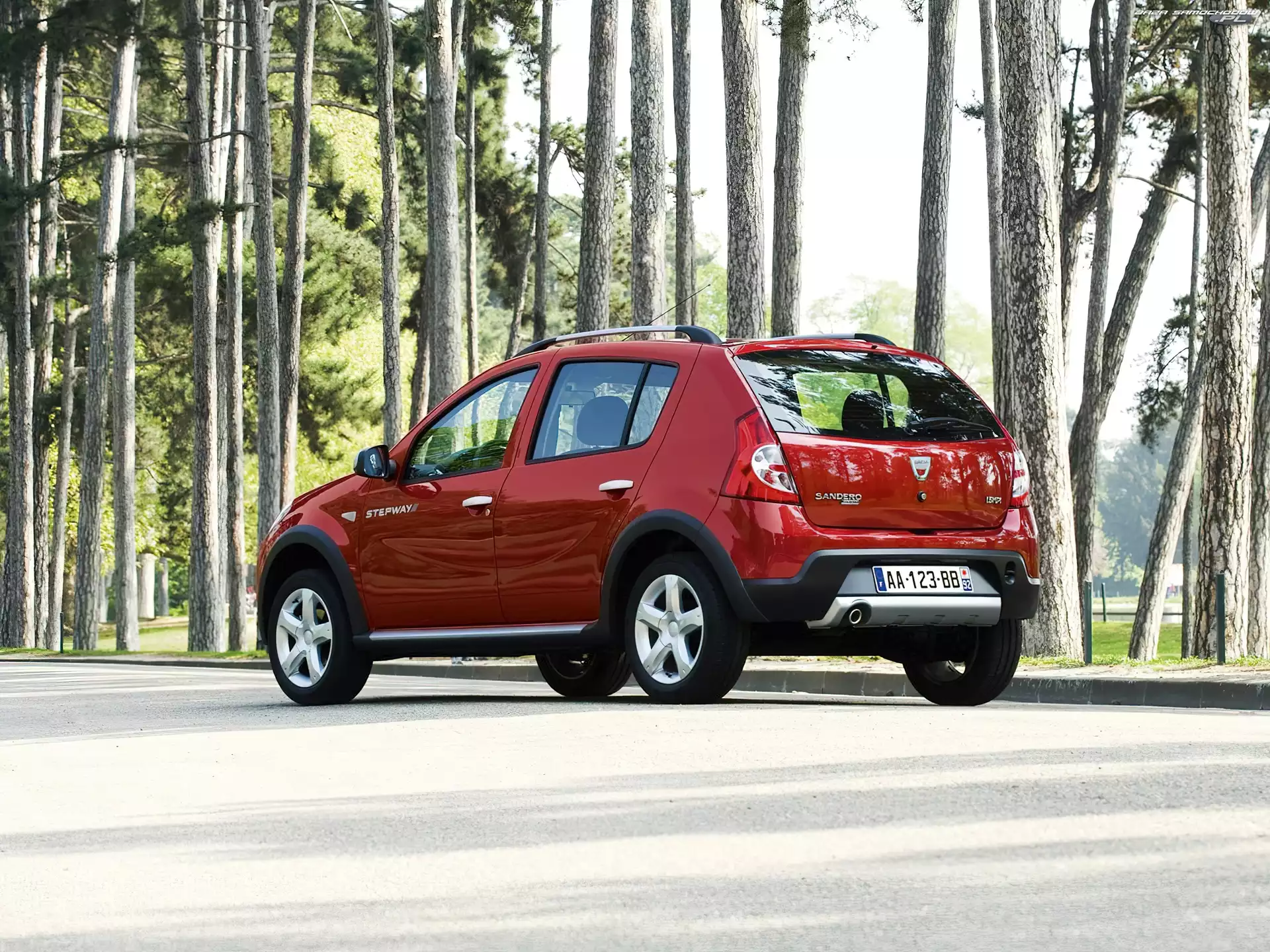 Las, Bordowa, Dacia Sandero