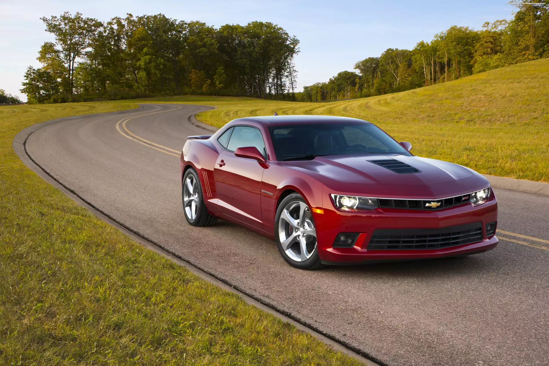 Droga, Las, Camaro SS, Chevrolet, Łąka, Czerwony
