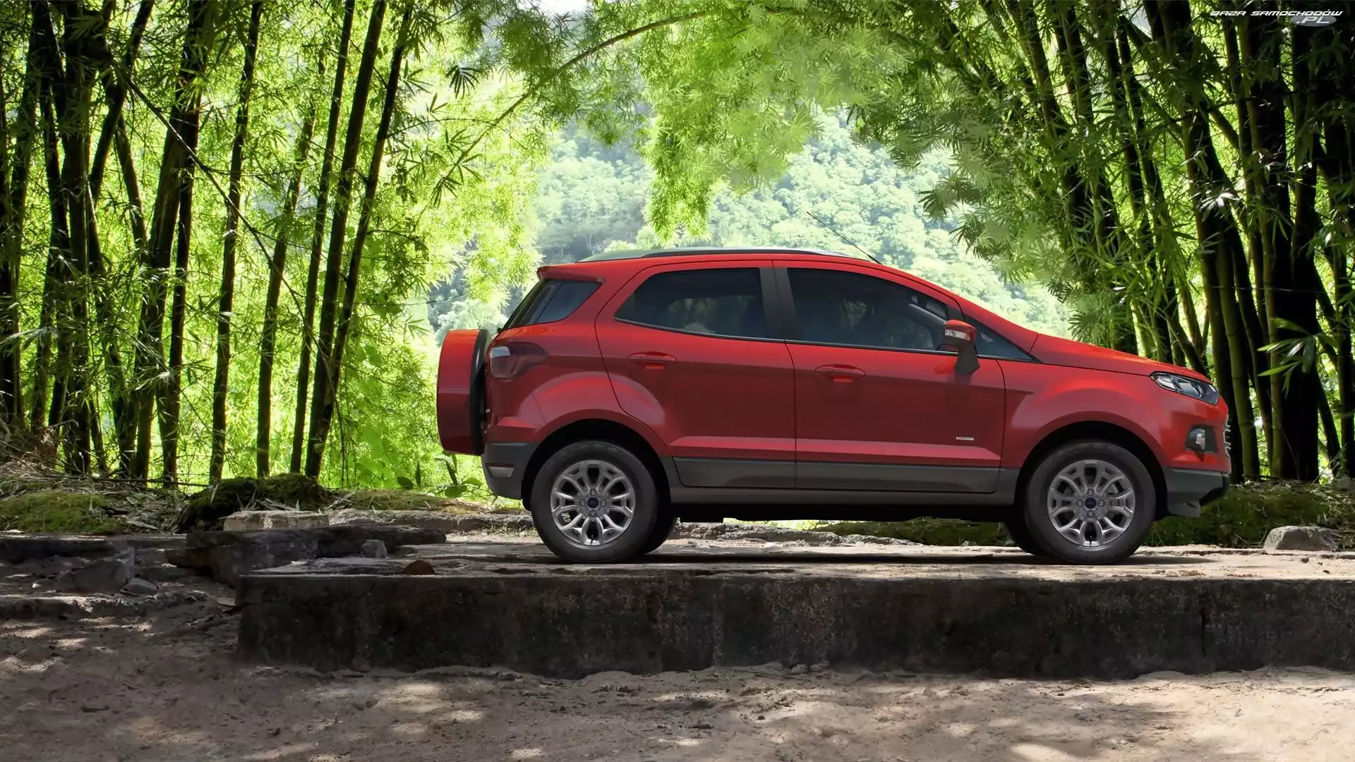 Las, Ford EcoSport, Drzewa
