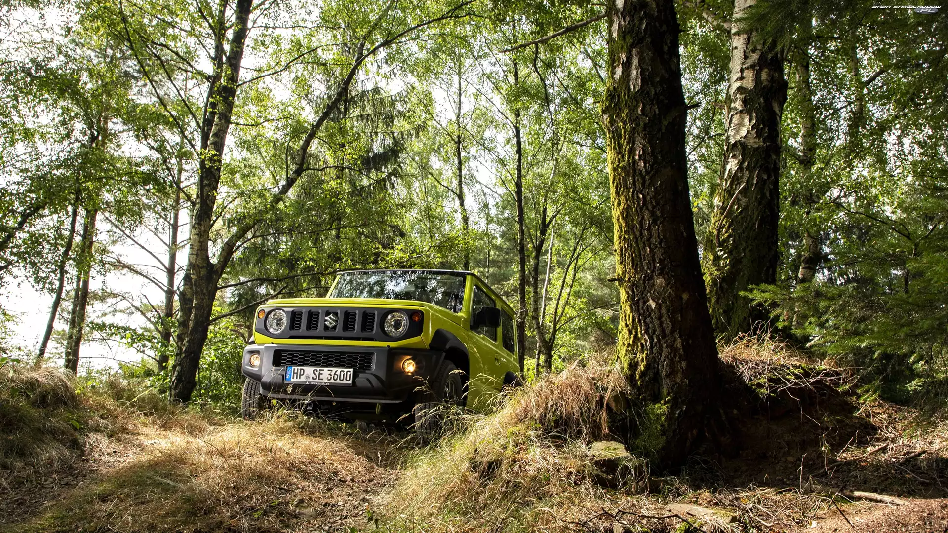 Las, Suzuki Jimny, Przód