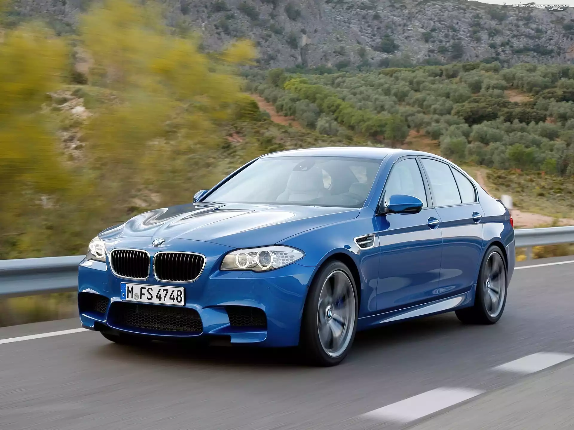 BMW F10, Lewa, Drzwi, Strona