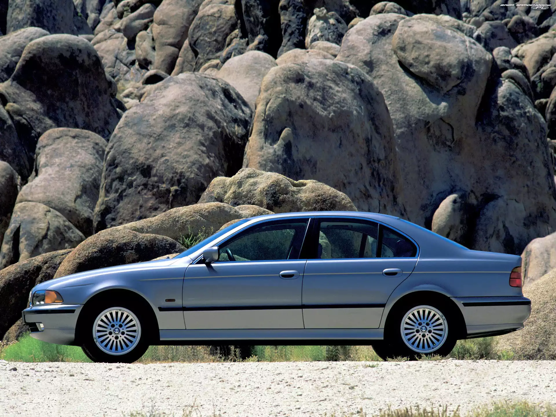 Lewy Profil, BMW 5, E39