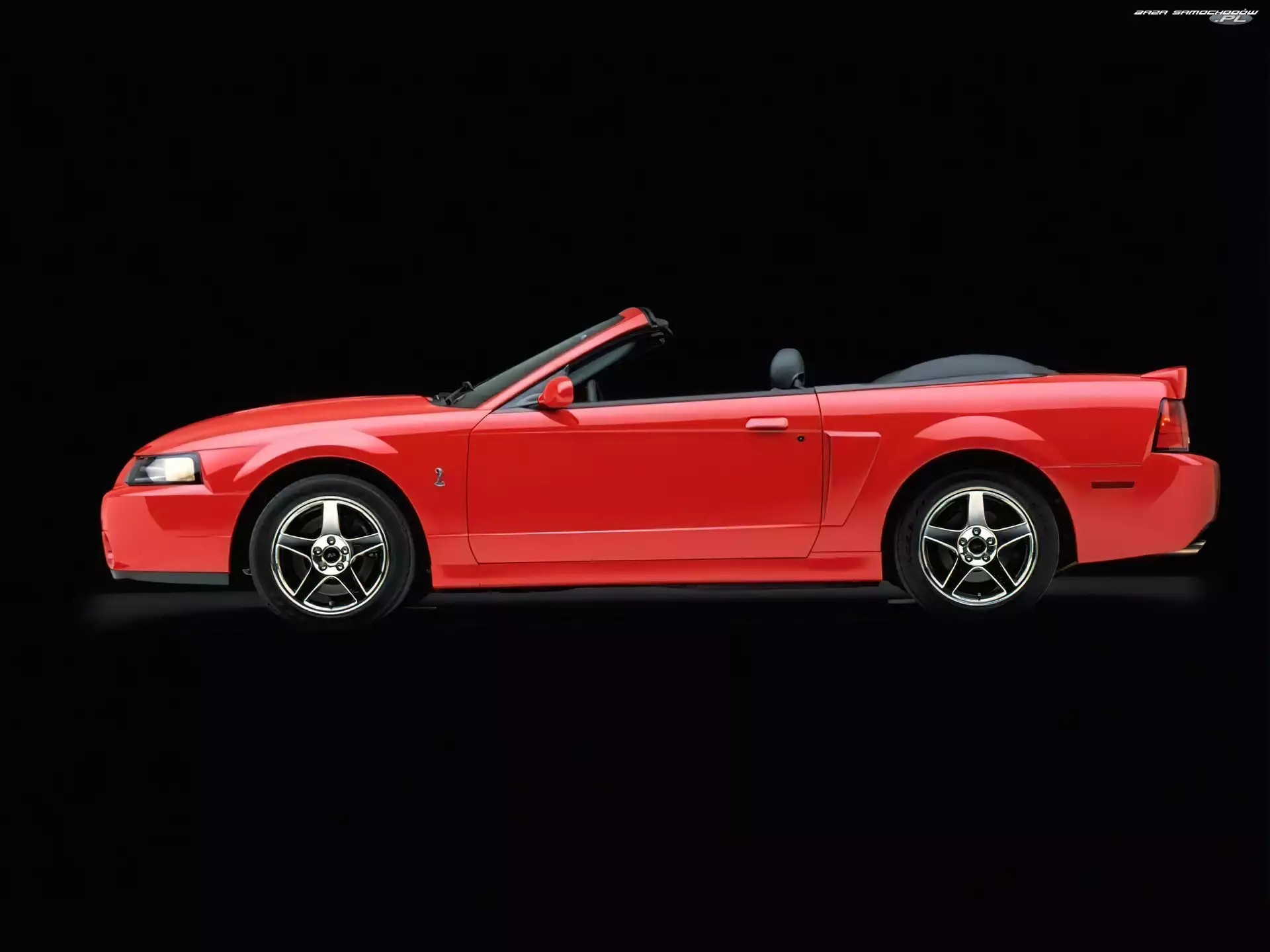 Lewy Profil, Ford Mustang, Cabrio