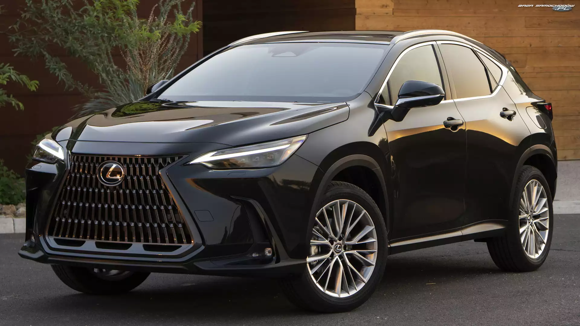 Lexus NX, Czarny