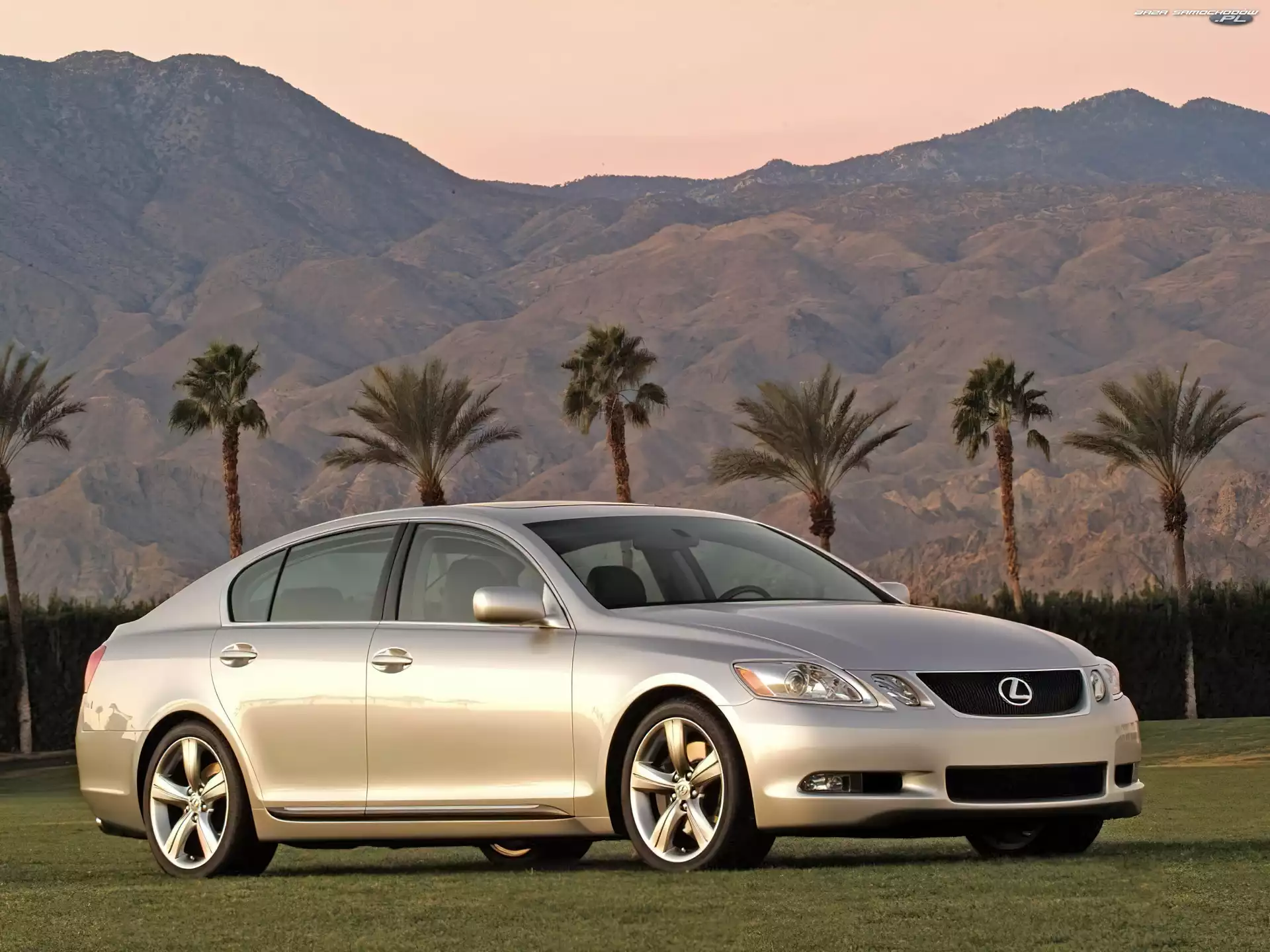 Palmy, Lexus Seria GS