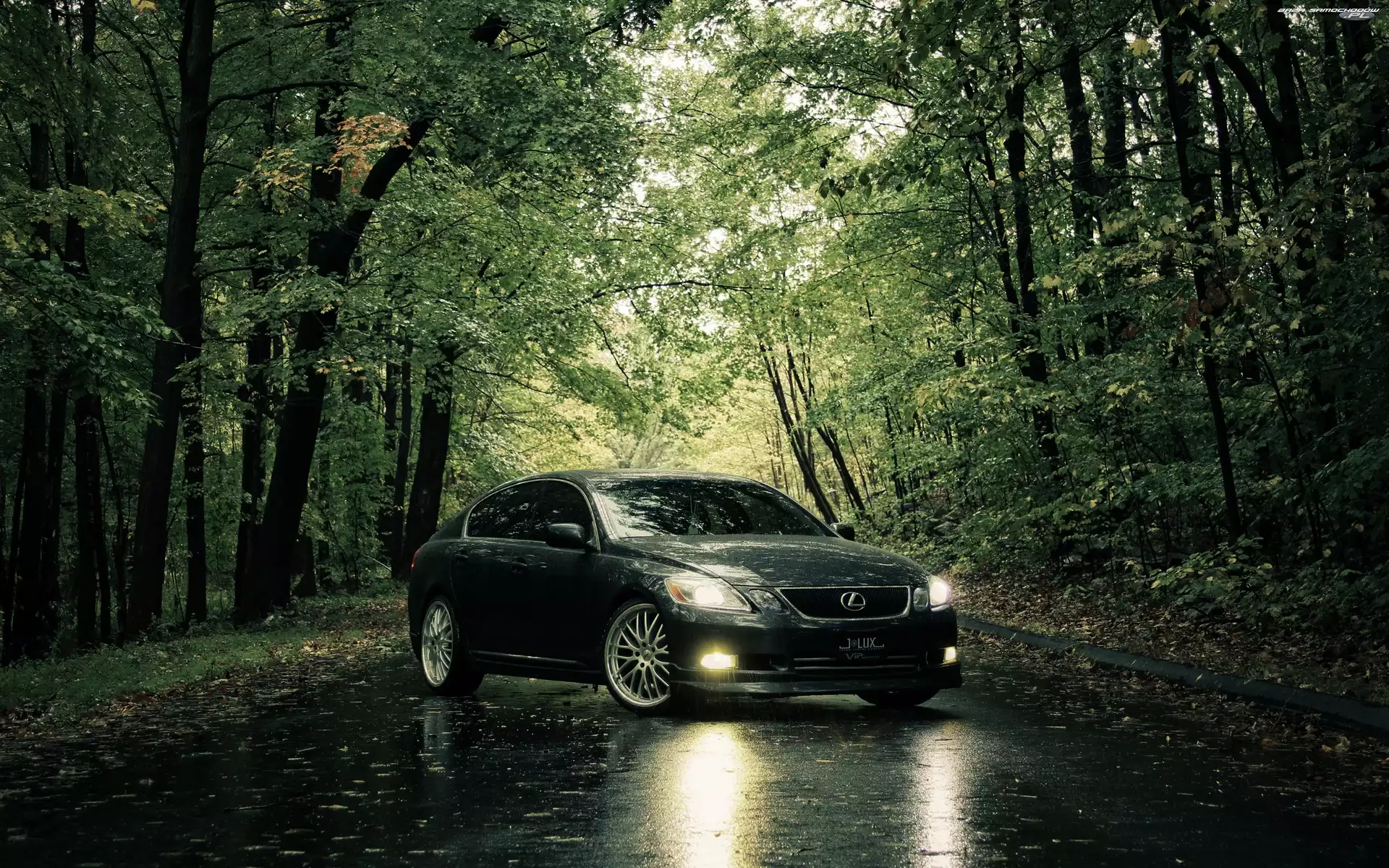 Lexus IS, Drzewa, Szary, Droga