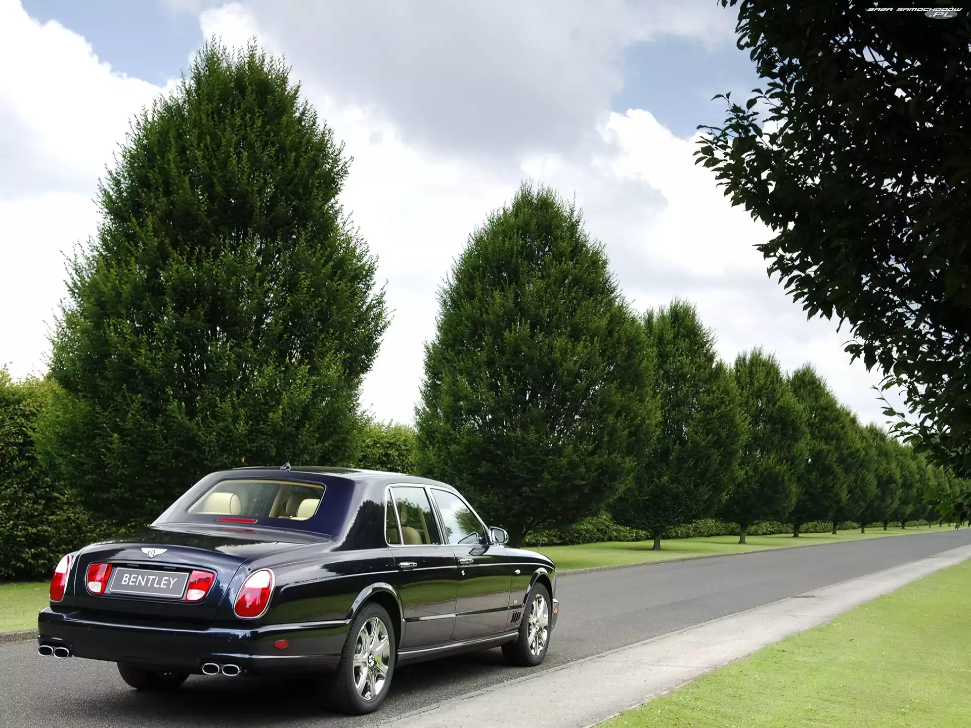 Bentley Arnage Blue Train Series, Limuzyna