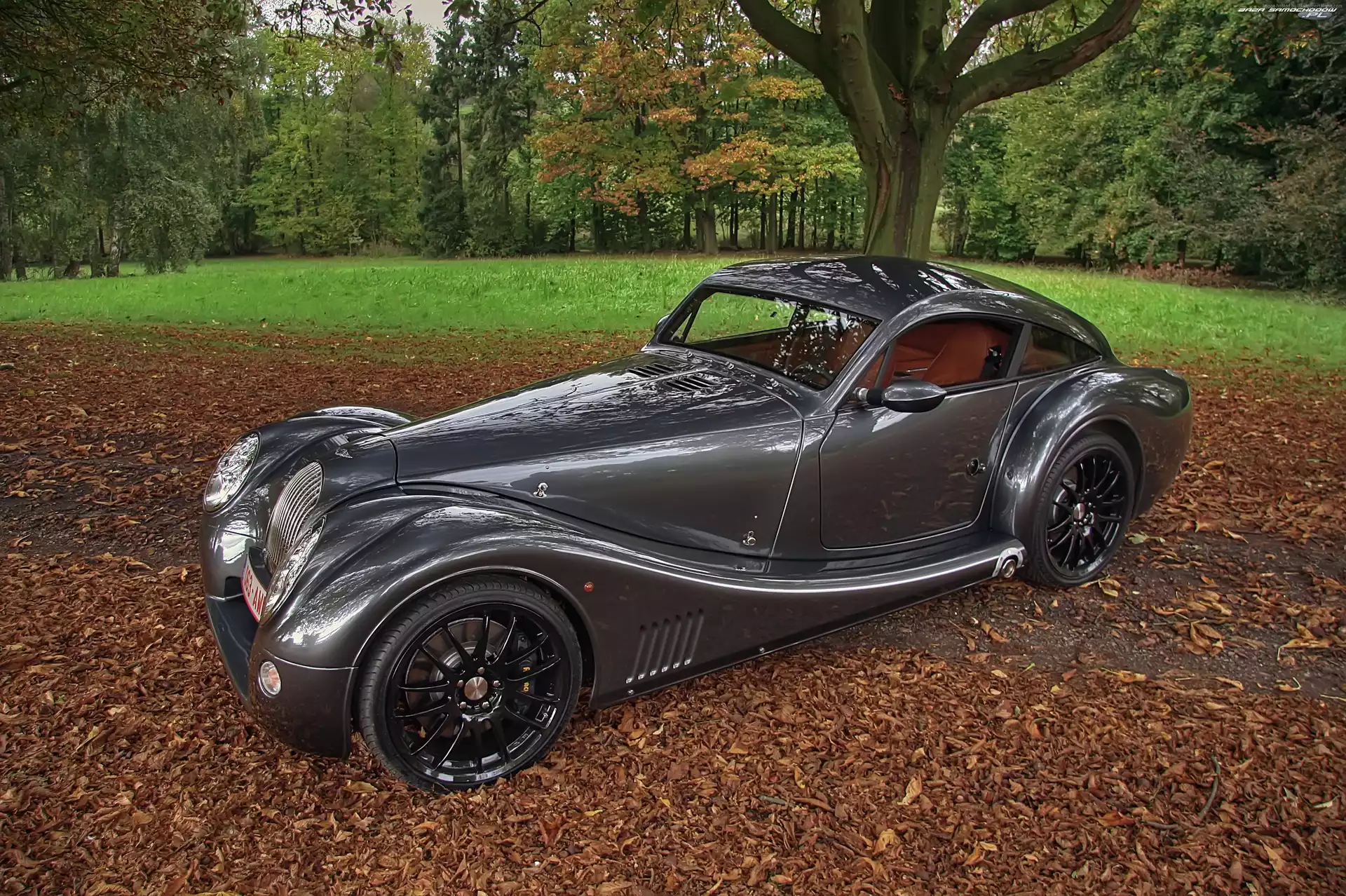 Liście, Morgan Aero 8, Park