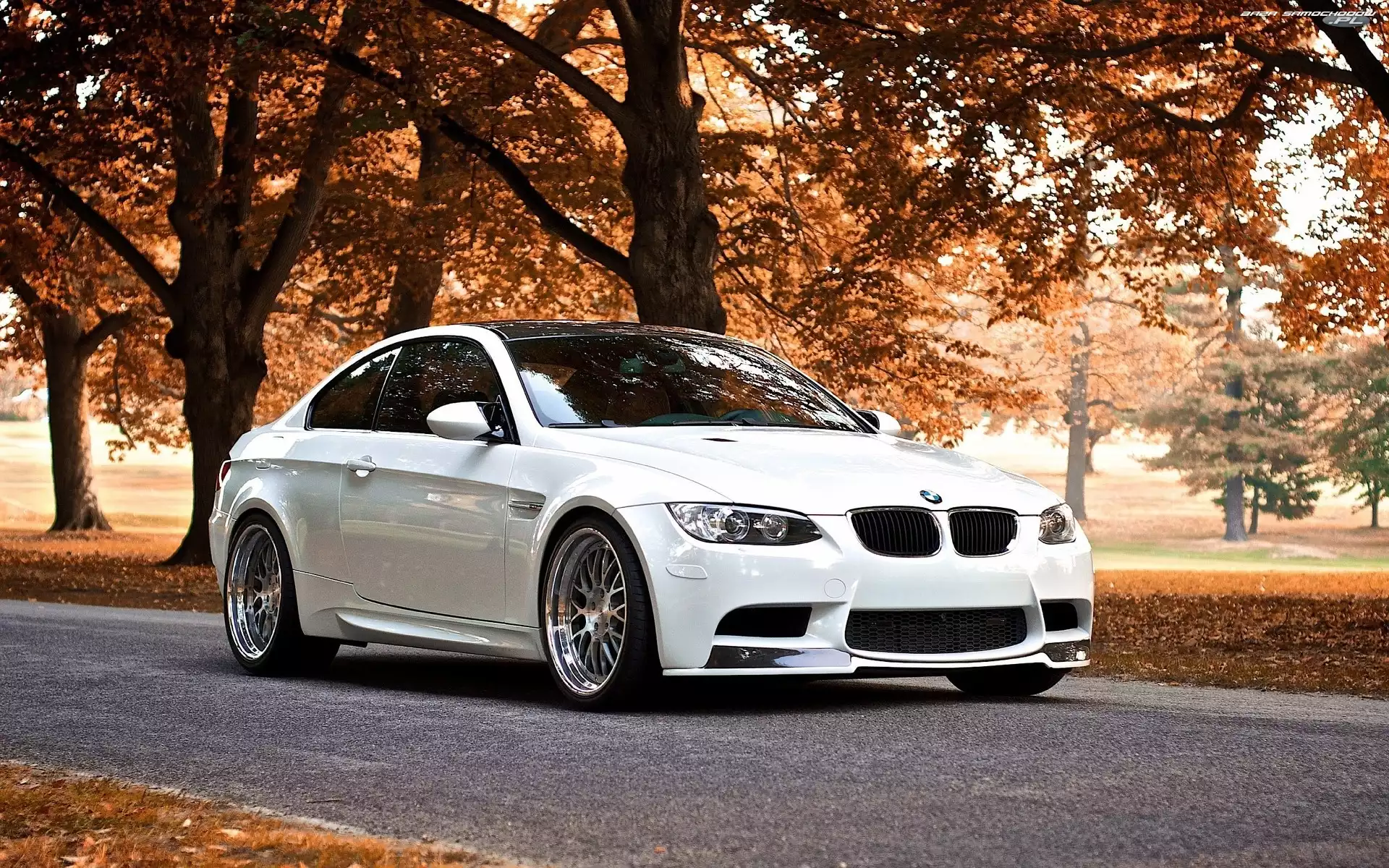 Liście, Bmw M3 Coupe, Droga