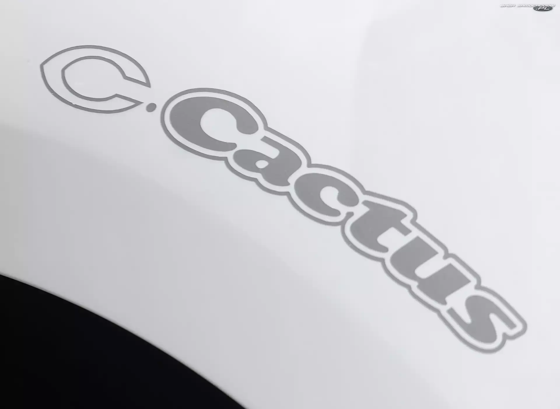 Citroen C-Cactus, Logo