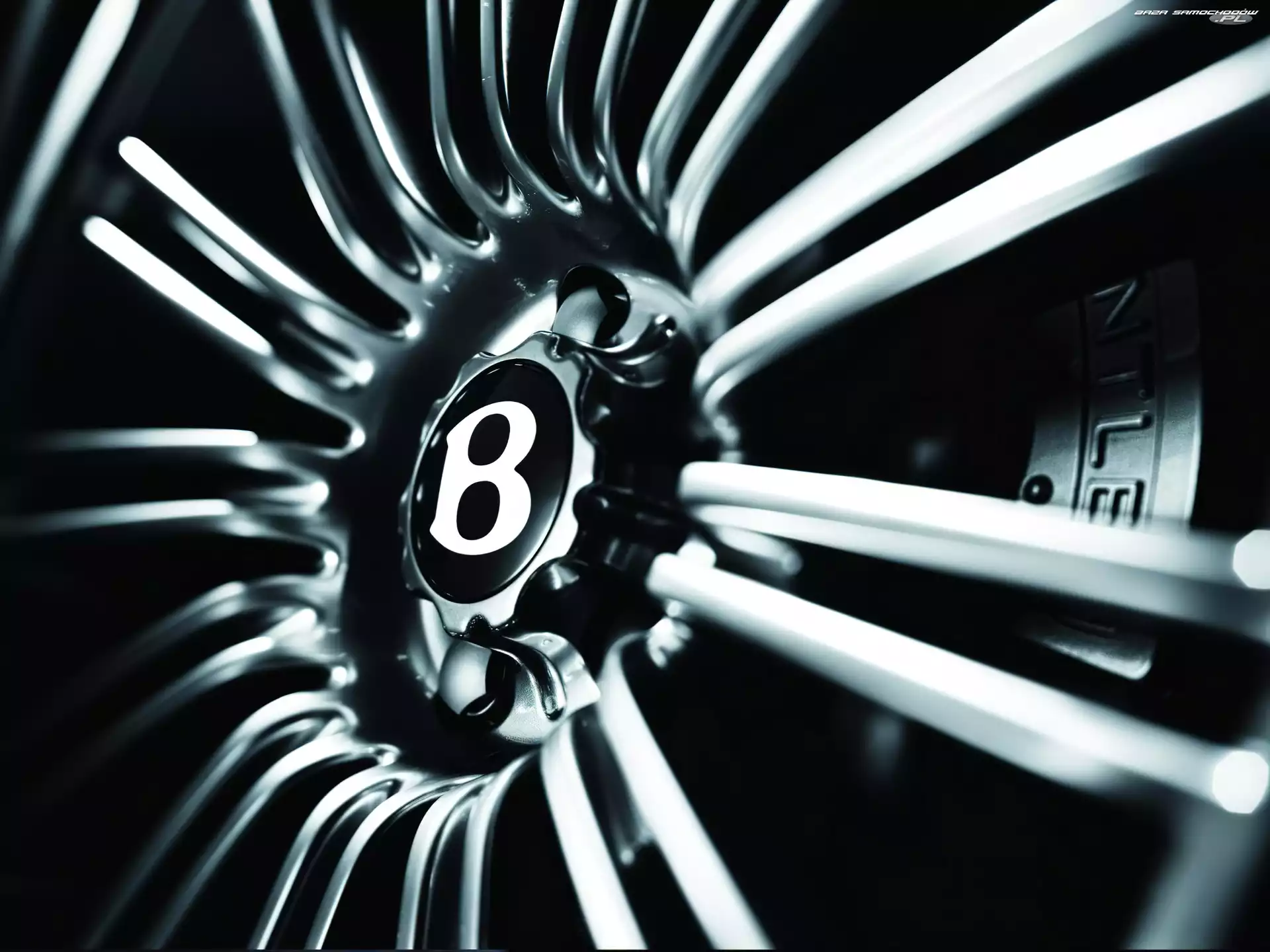 Logo, Bentley Continental, Felga
