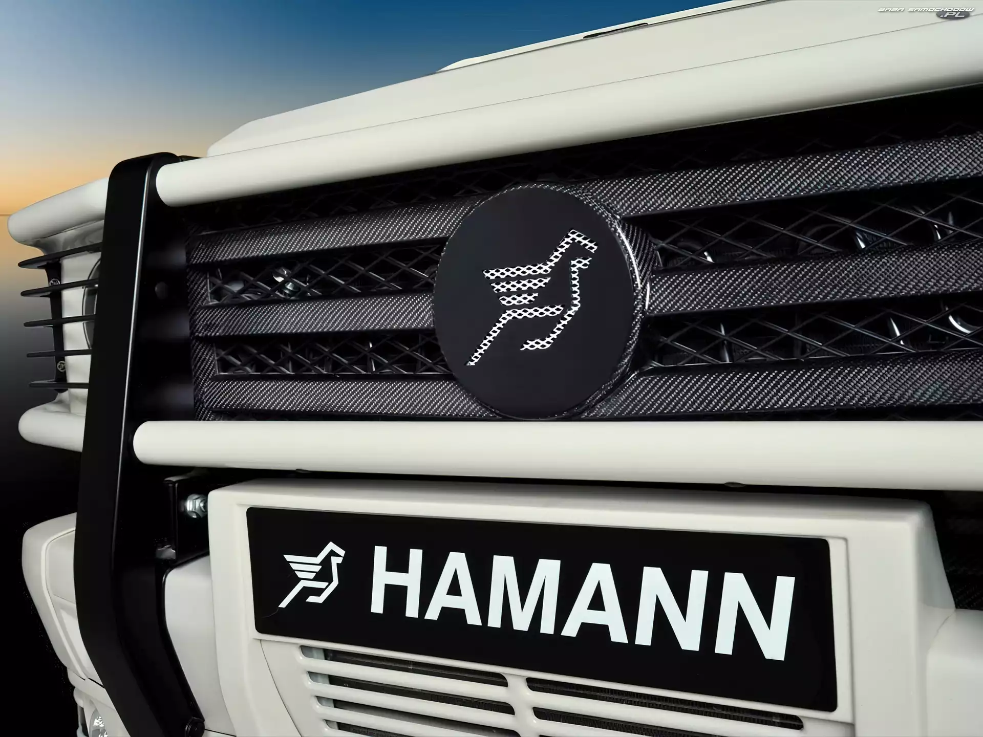 Karbon, Logo, Hamann