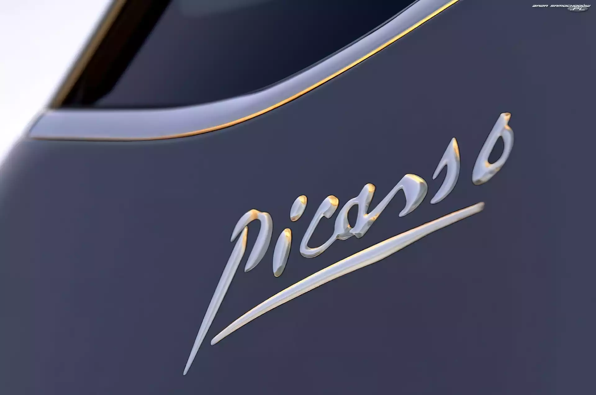 Picasso, Logo