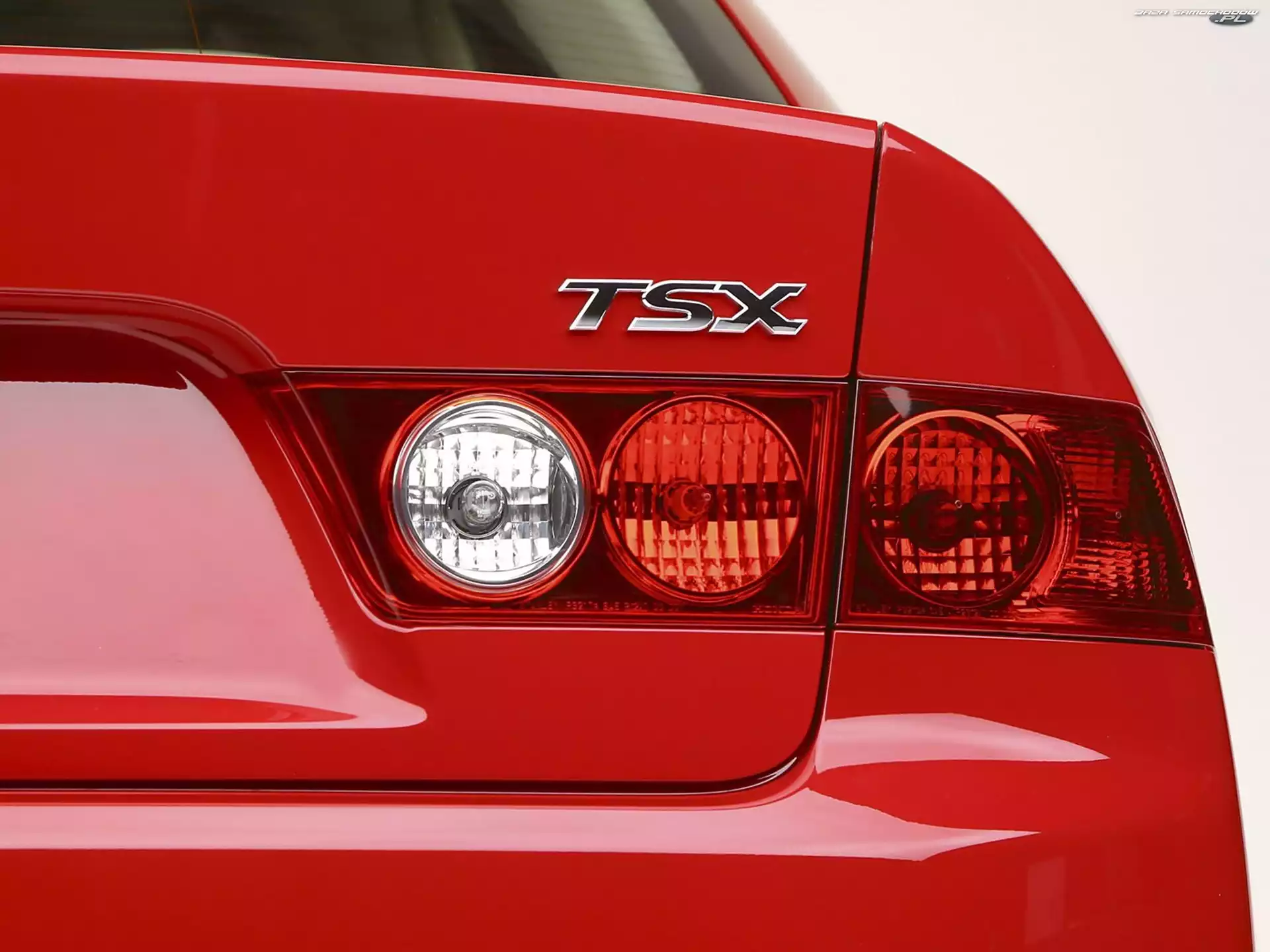 Logo, Tył, Acura TSX, Lampa