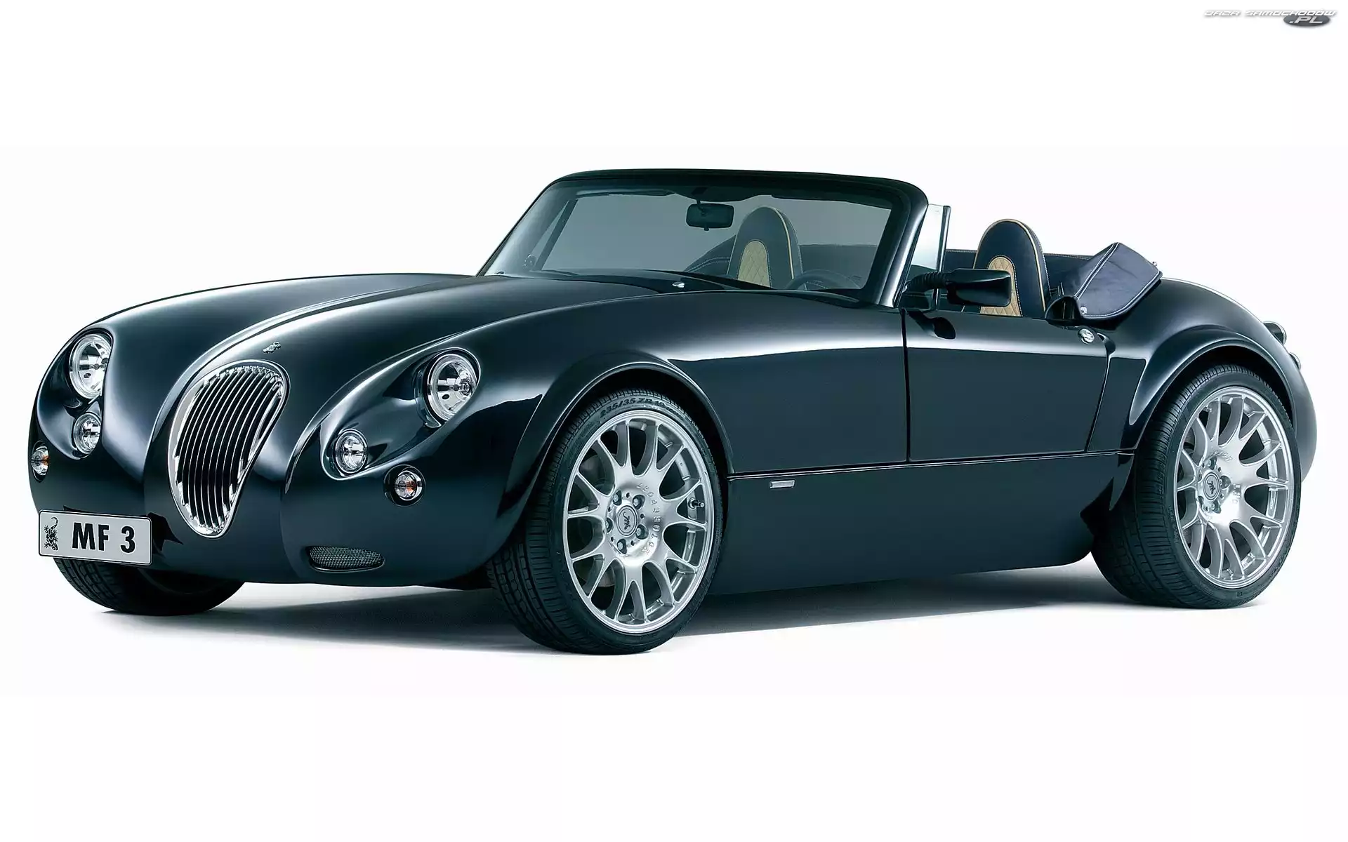 Lusterka, Wiesmann MF3, Halogeny