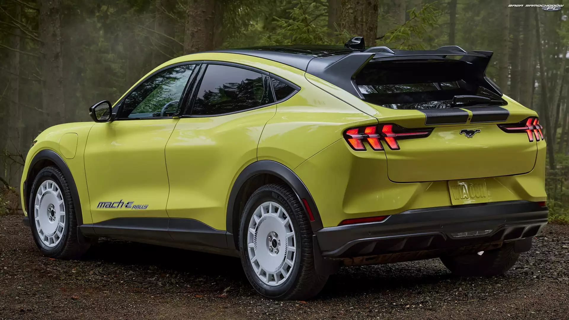 E, Mach, Rally, Ford, Mustang