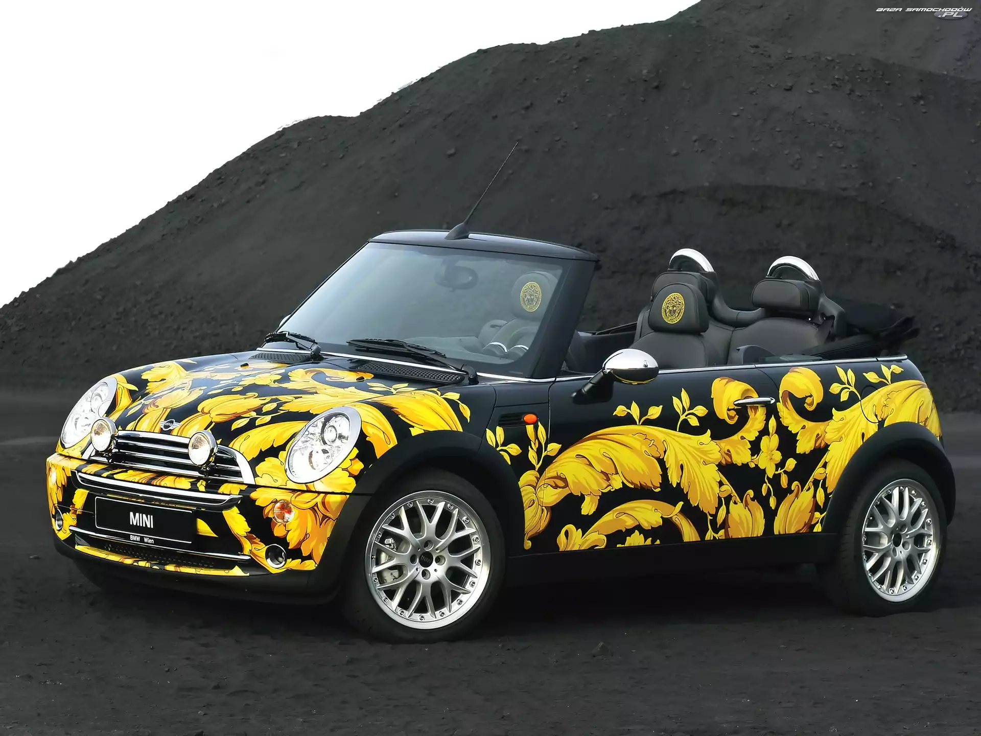 Malowanie, BMW Mini Cabrio, Unikalne