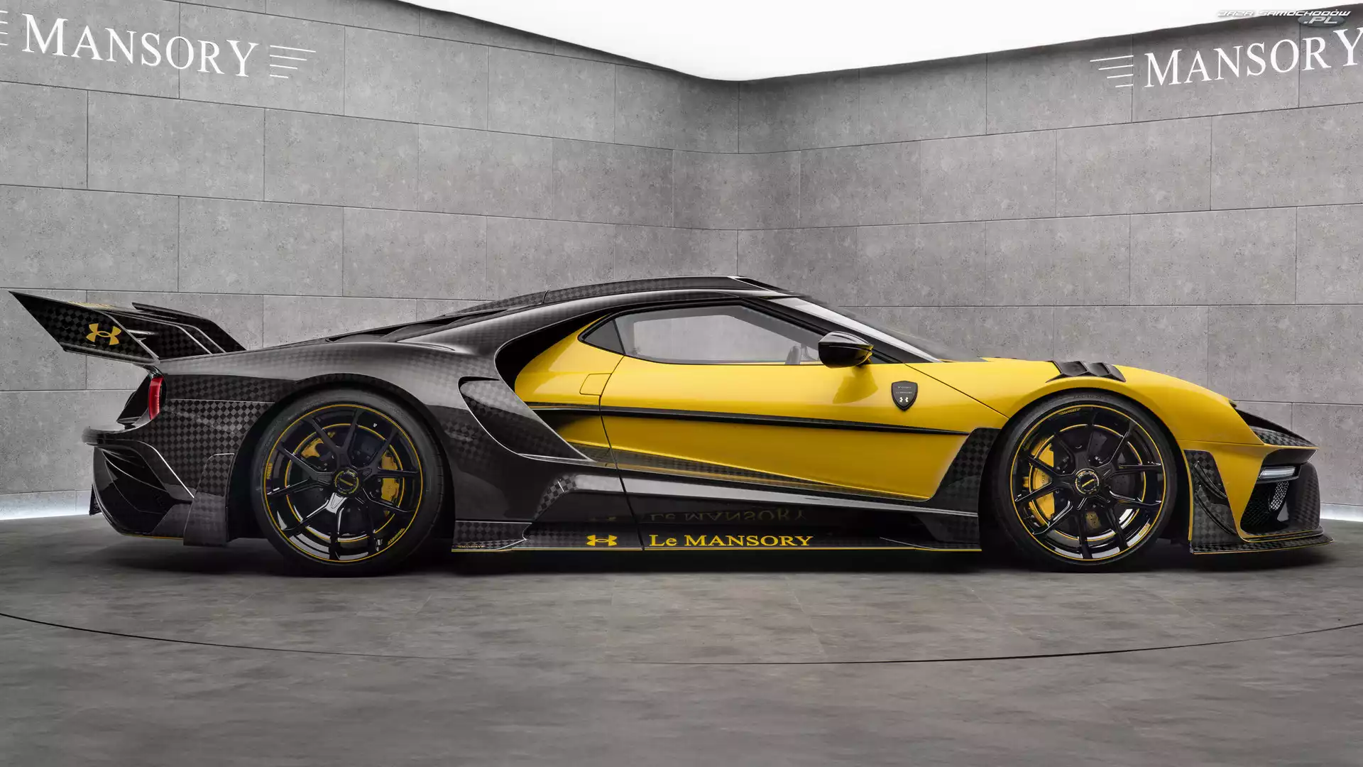 Bok, Ford GT, Mansory Under Armour