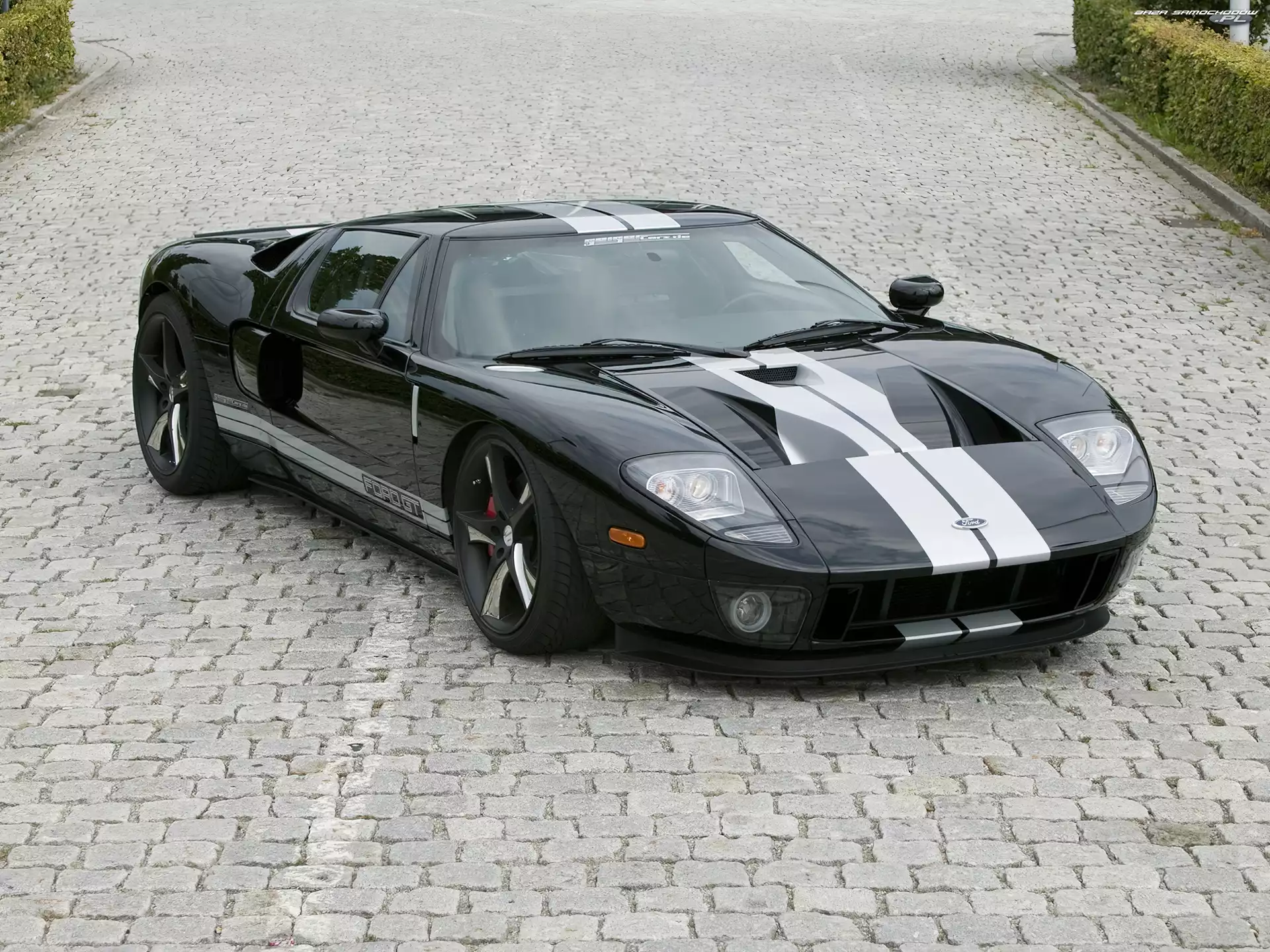 Maska, Ford GT, Wloty