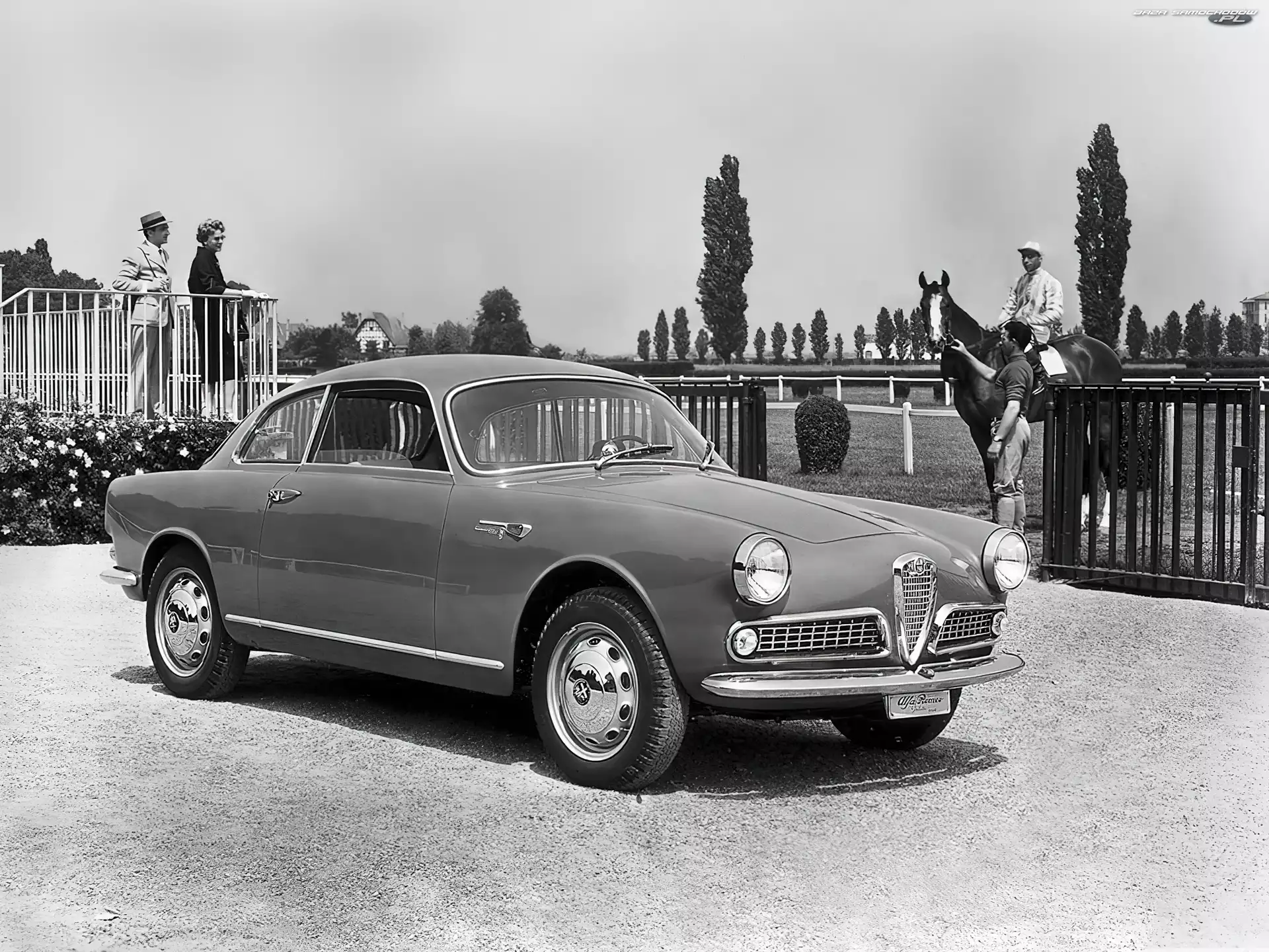 maska, opony , koła , Alfa Romeo, światła