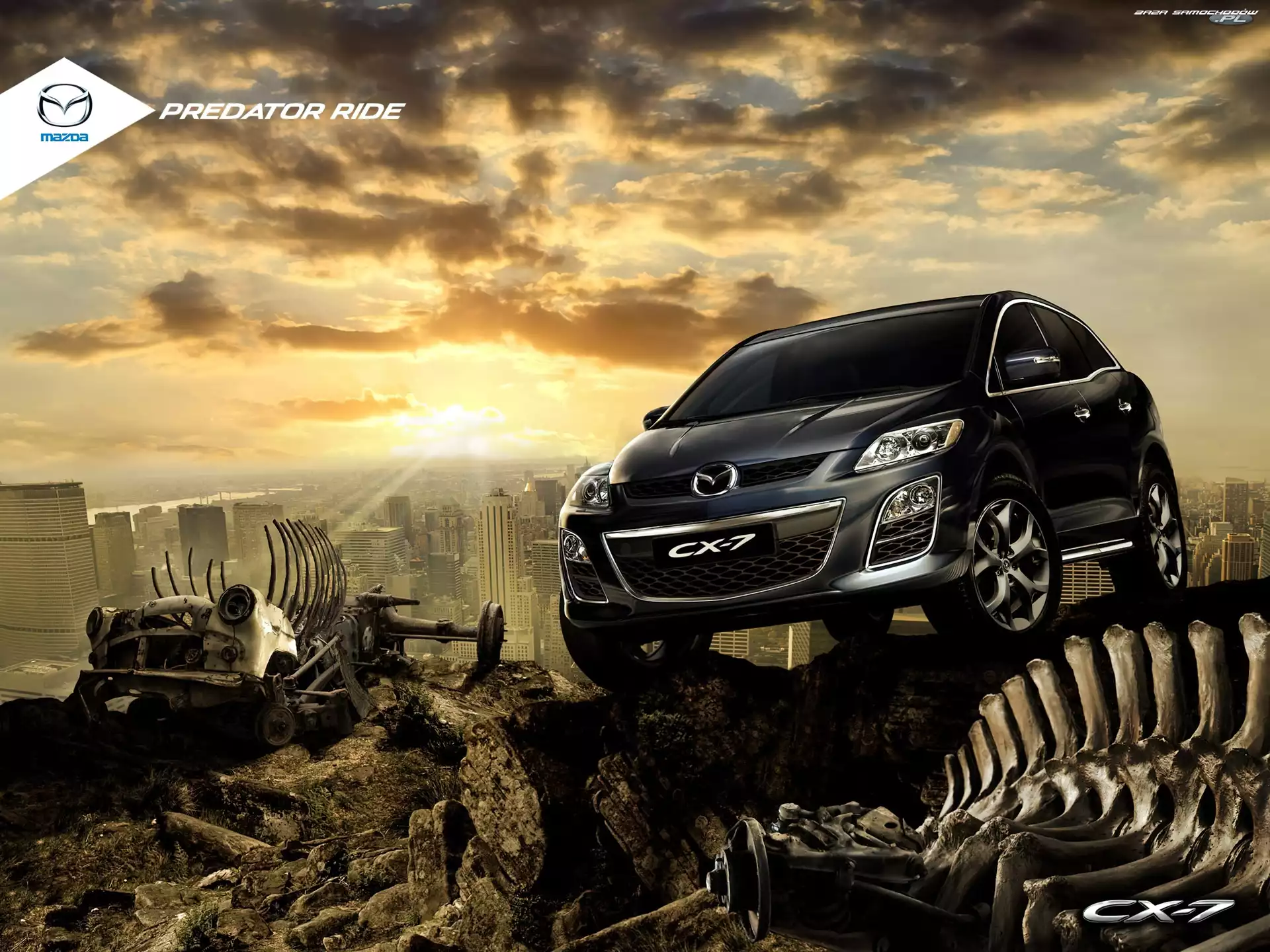 Panorama, Mazda, Słońca, Zachód, CX-7, Miasta