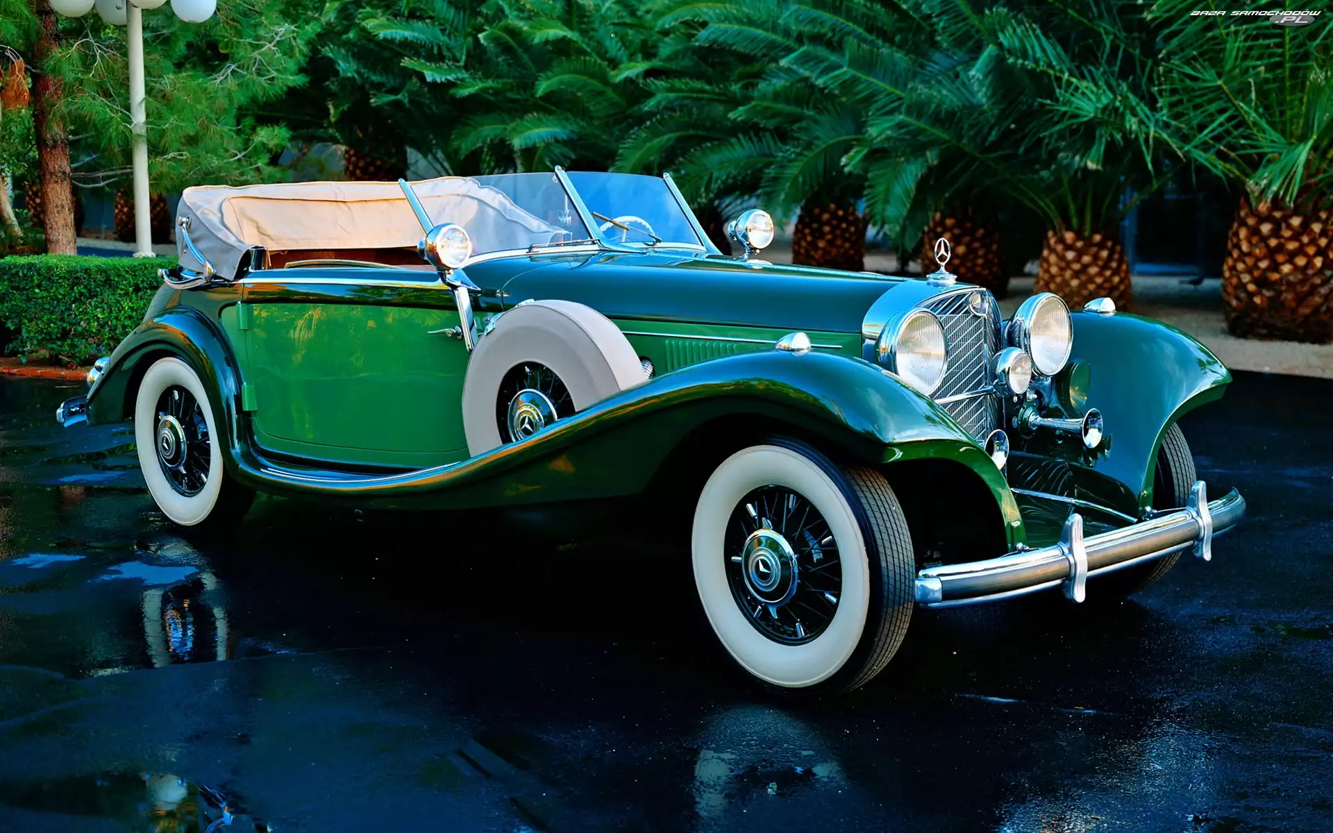 Mercedes, Palmy, Zabytkowy, Park