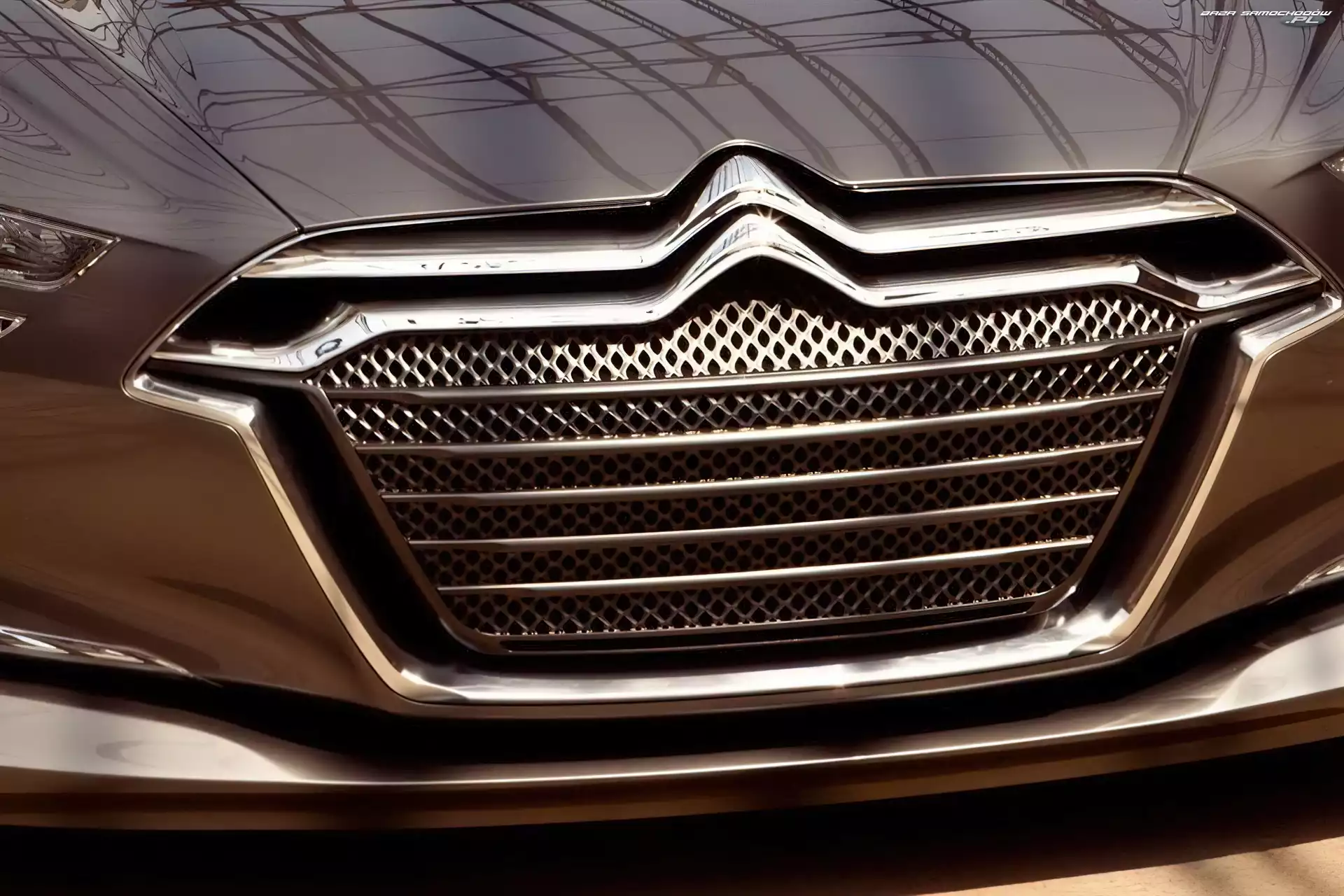 Grill, Citroen Metropolis