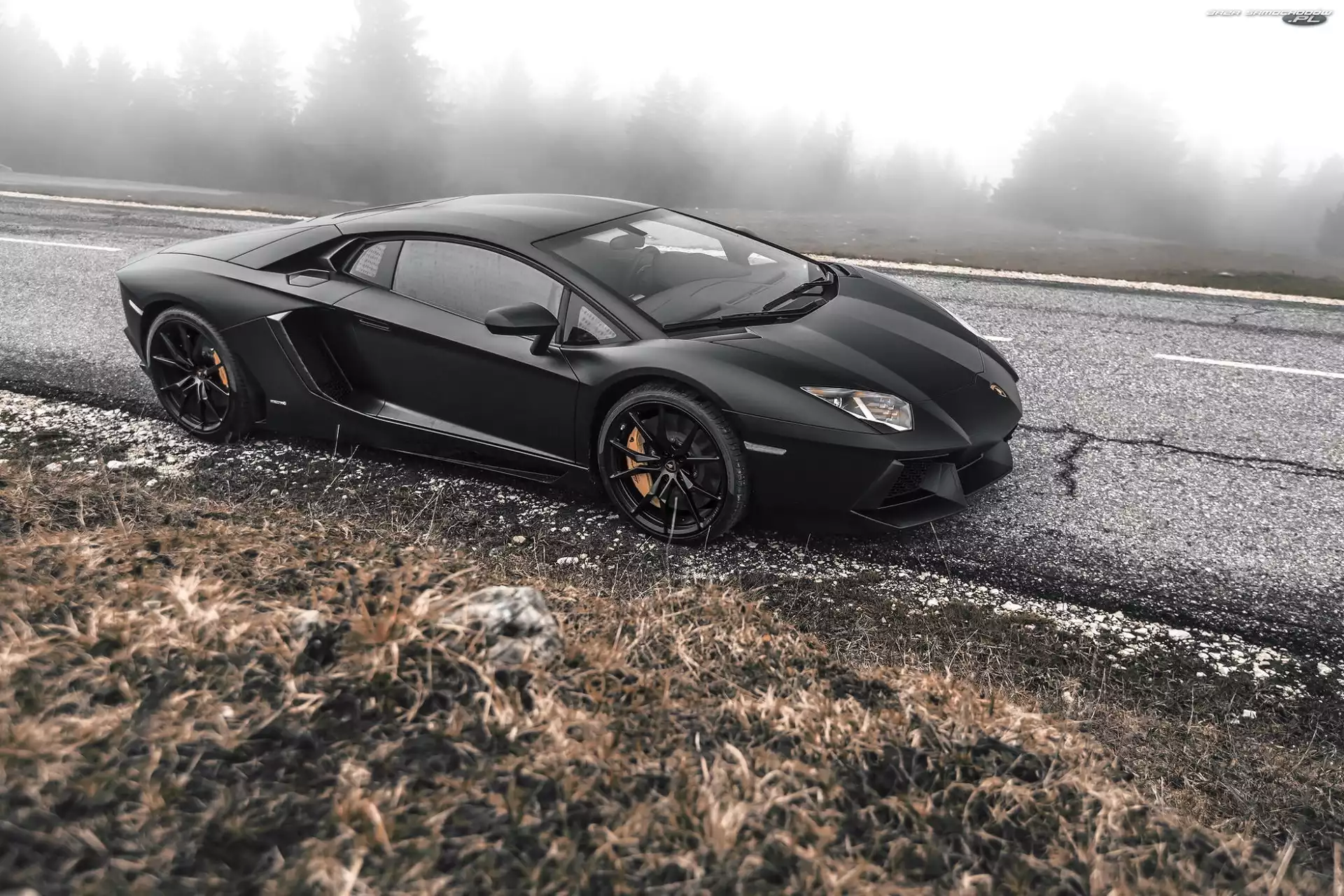 Mgła, Drzewa, Adventador, Lamborghini, Droga