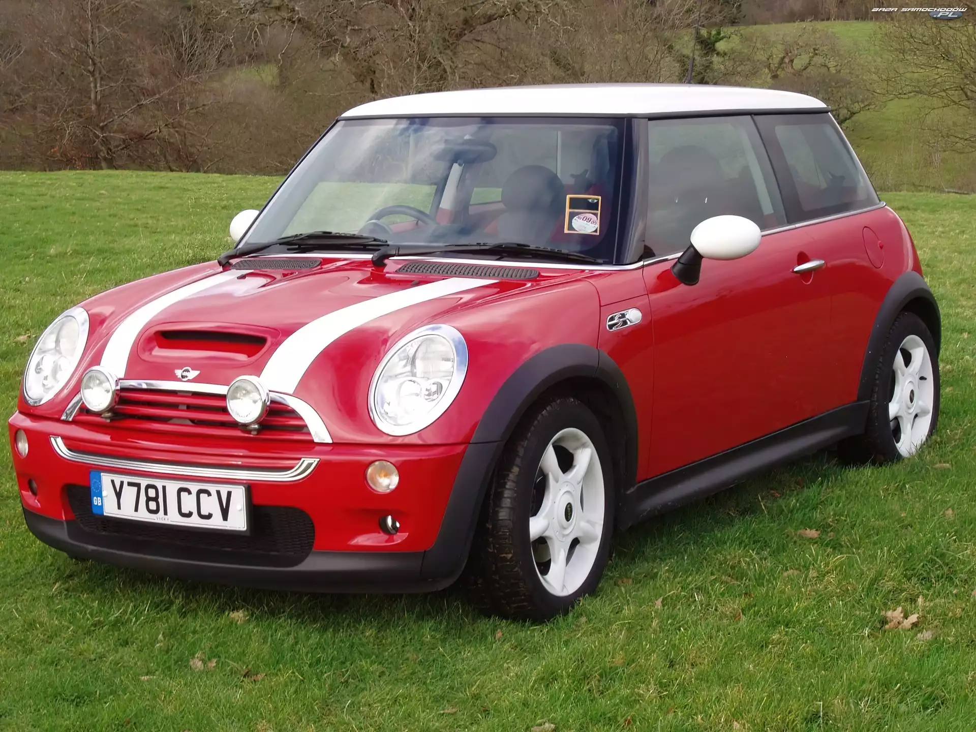 Mini Cooper, Dach, Czerwony, Biały