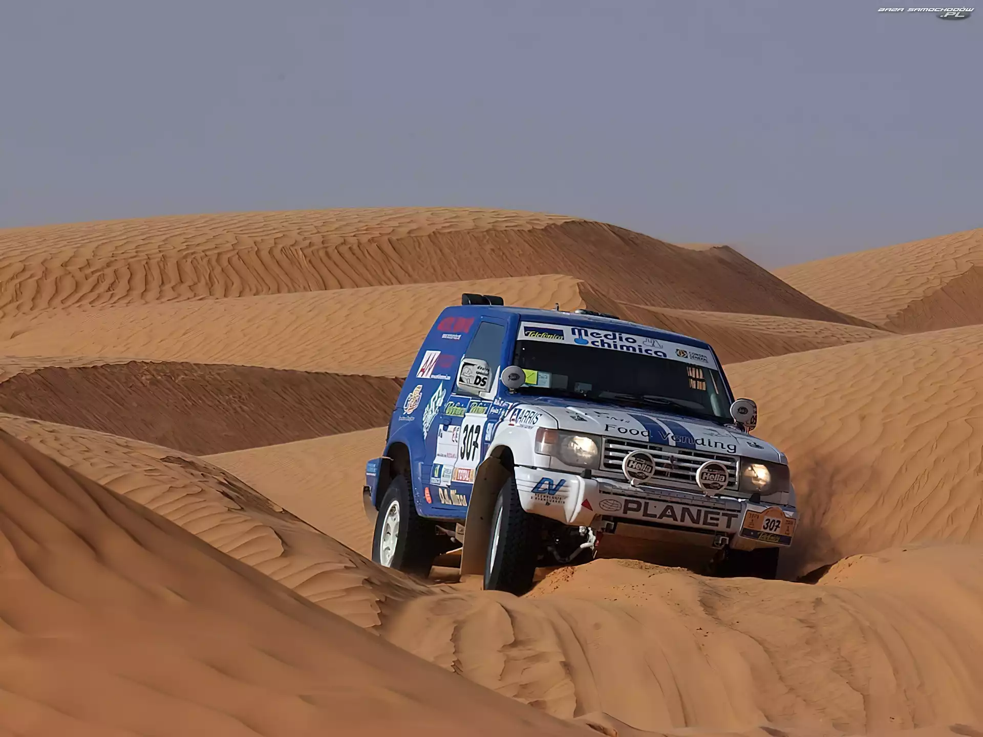 Mitsubishi Pajero, Rajdowe