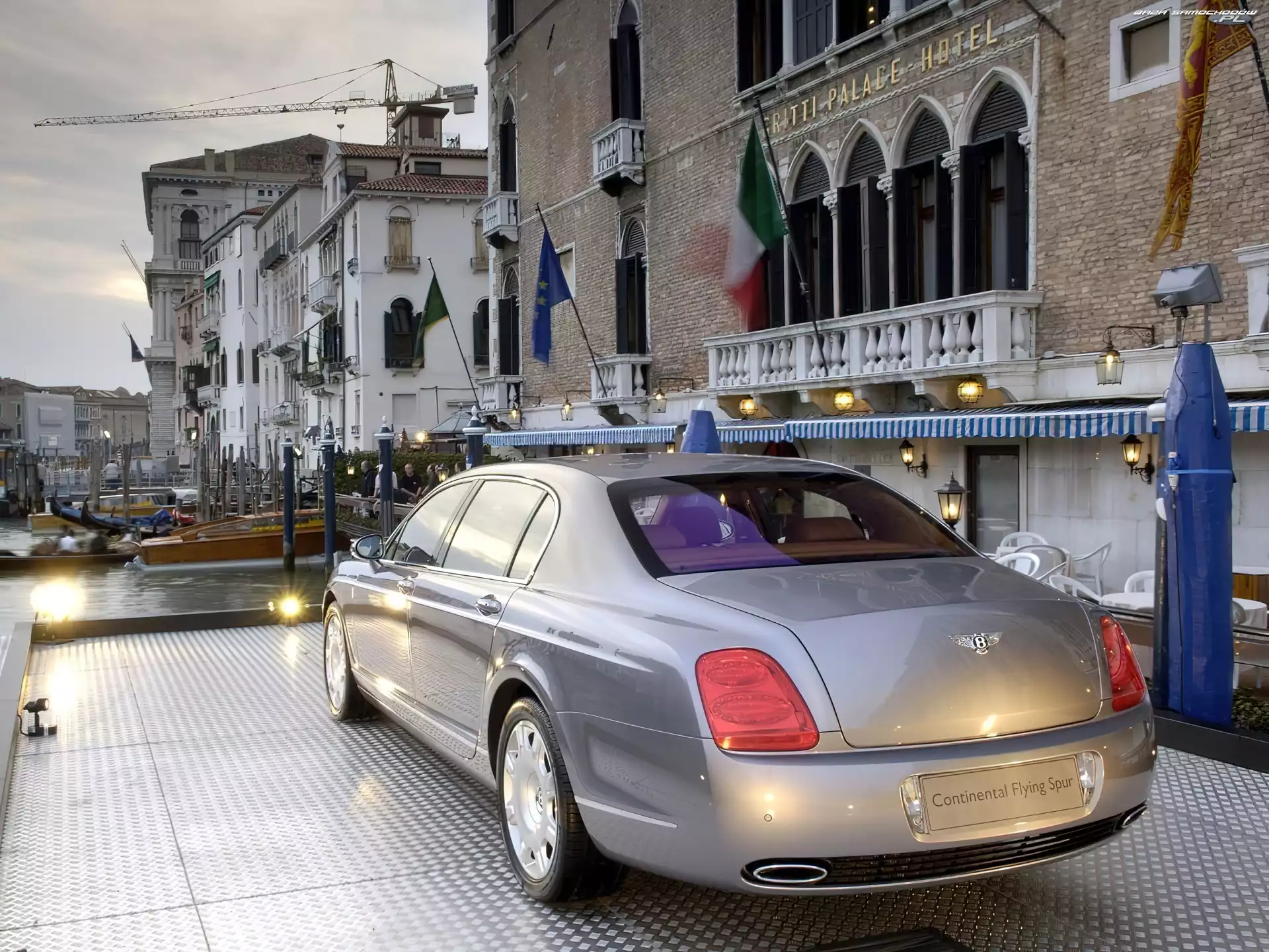 Model, Bentley Continental, Flagowy