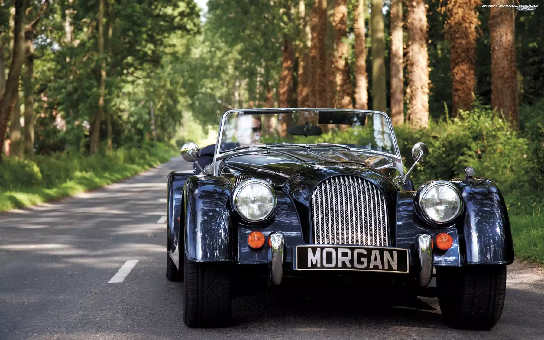 Morgan, Las, Samochód, Droga