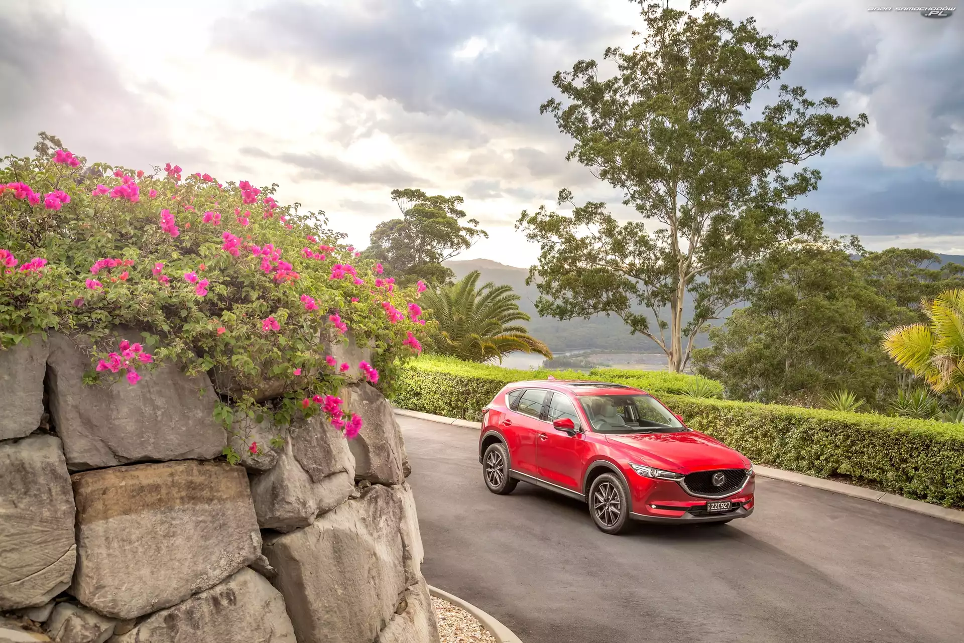 Drzewo, Mur, 2017, Mazda CX-5 Akera, Droga