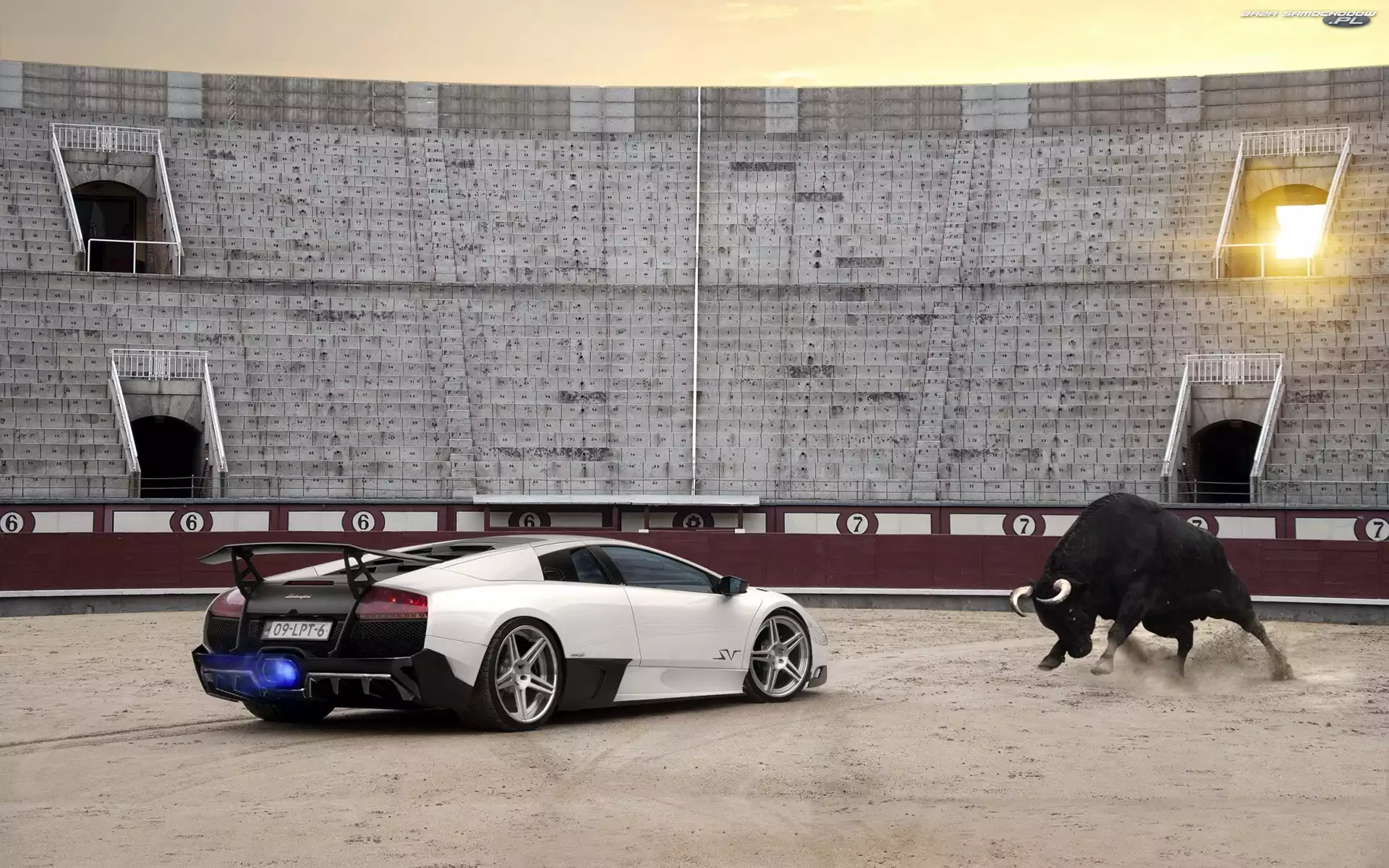 Murcielago, Byk, Lamborghini, Stadion