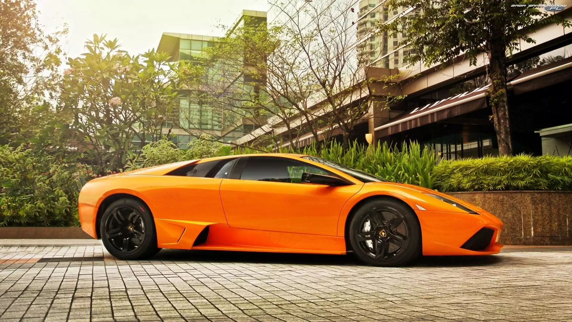 Murcielago, Drzewa, Lamborghini, Dom