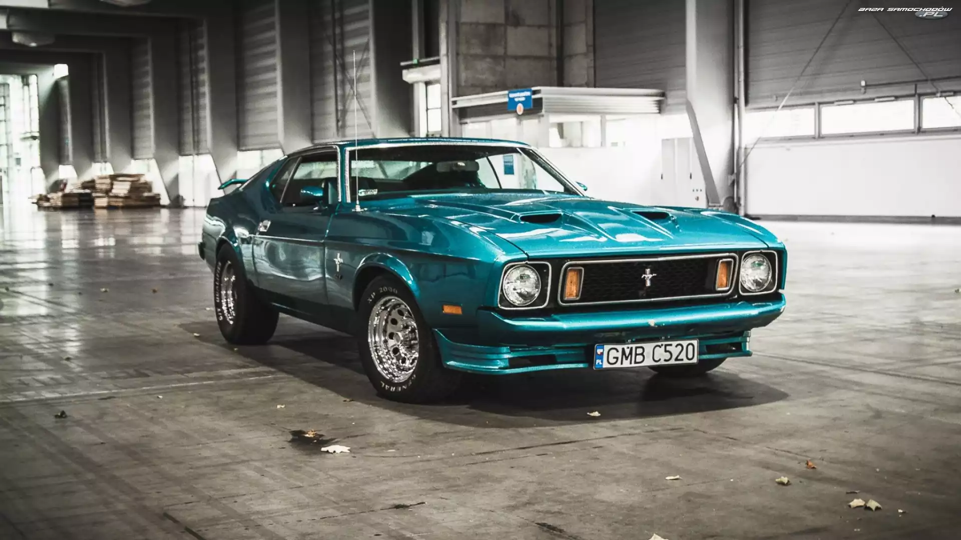 1973, Mustang, Ford