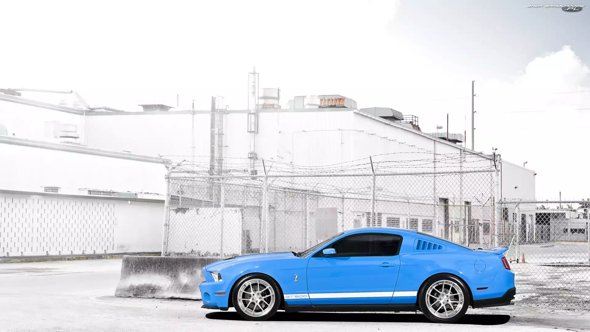 Mustang, GT 500, Błękitny, Shelby