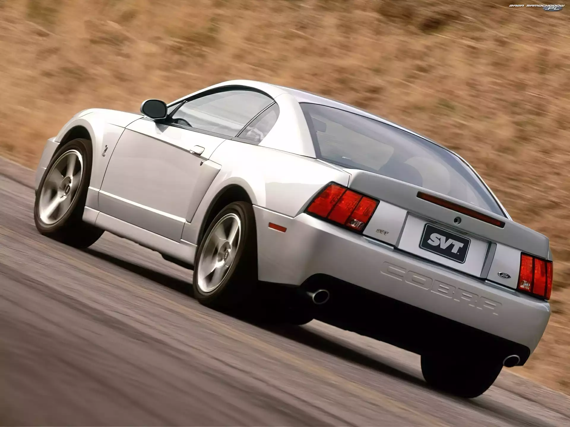 coupe, Ford Mustang