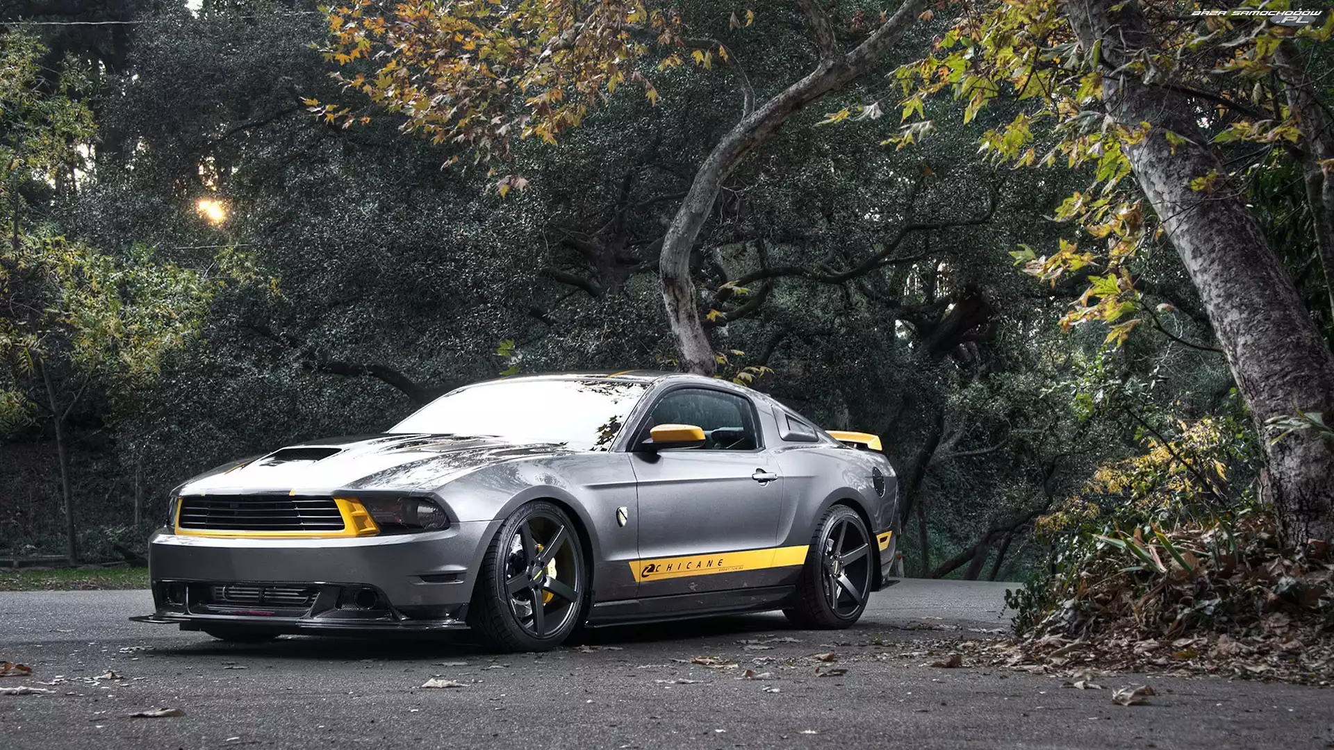 Mustang, Drzewa, Ford, Droga